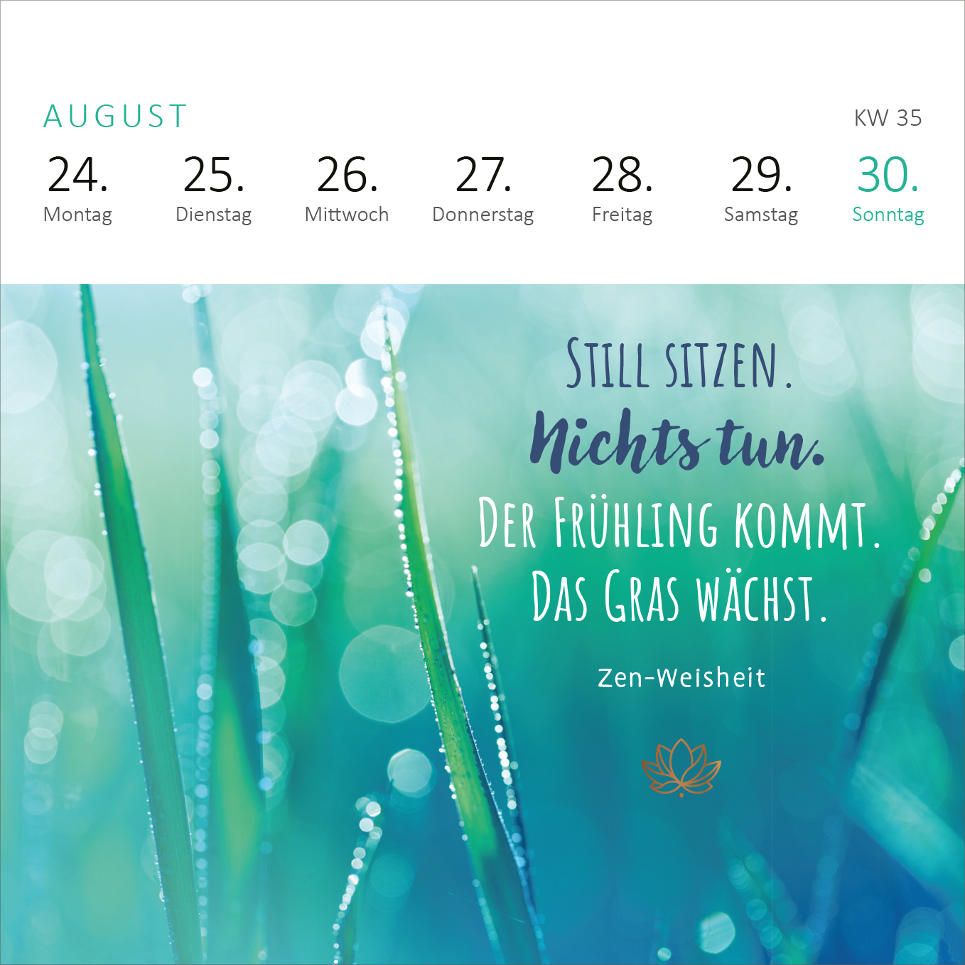 Gezeigt wird eine Innen- oder Zusatzansicht von „Mini-Wochenkalender Einatmen. Ausatmen. Lächeln. 2026“. Die Ansicht zeigt die Woche im August, mit den Daten der Wochentage in klarer, schwarzer Typografie. Im Hintergrund ist ein sanft verschwommener, grüner Naturhintergrund mit glitzerndem Tau. Der inspirierende Text „Still sitzen. Nichts tun. Der Frühling kommt. Das Gras wächst.“ steht in einer harmonischen Kombination aus blauer und grüner Schrift auf der rechten Seite, darunter...