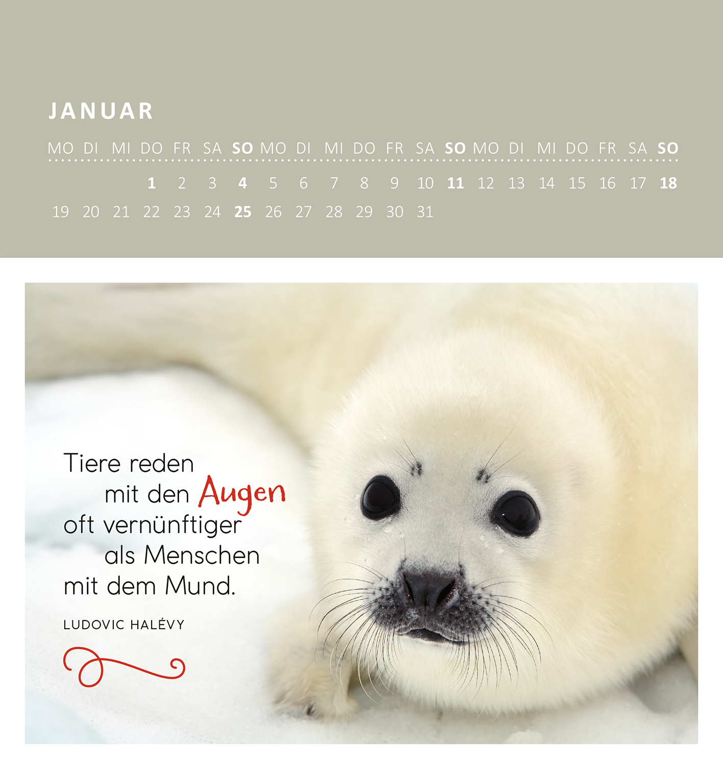 Gezeigt wird eine Innen- oder Zusatzansicht von „Wandkalender Süße Tierkinder 2026“. Der Kalender zeigt den Monat Januar mit einem großen, niedlichen Babysäugetier in hellem Fell und großen, ausdrucksvollen Augen. Darunter steht der Spruch: „Tiere reden mit den Augen oft vernünftiger als Menschen mit dem Mund“ in roter und schwarzer Schrift. Die Hintergrundfarbe ist ein sanftes Grau, das die Bildkomposition harmonisch ergänzt. Oben befindet sich eine Monatsübersicht mit klarer,...