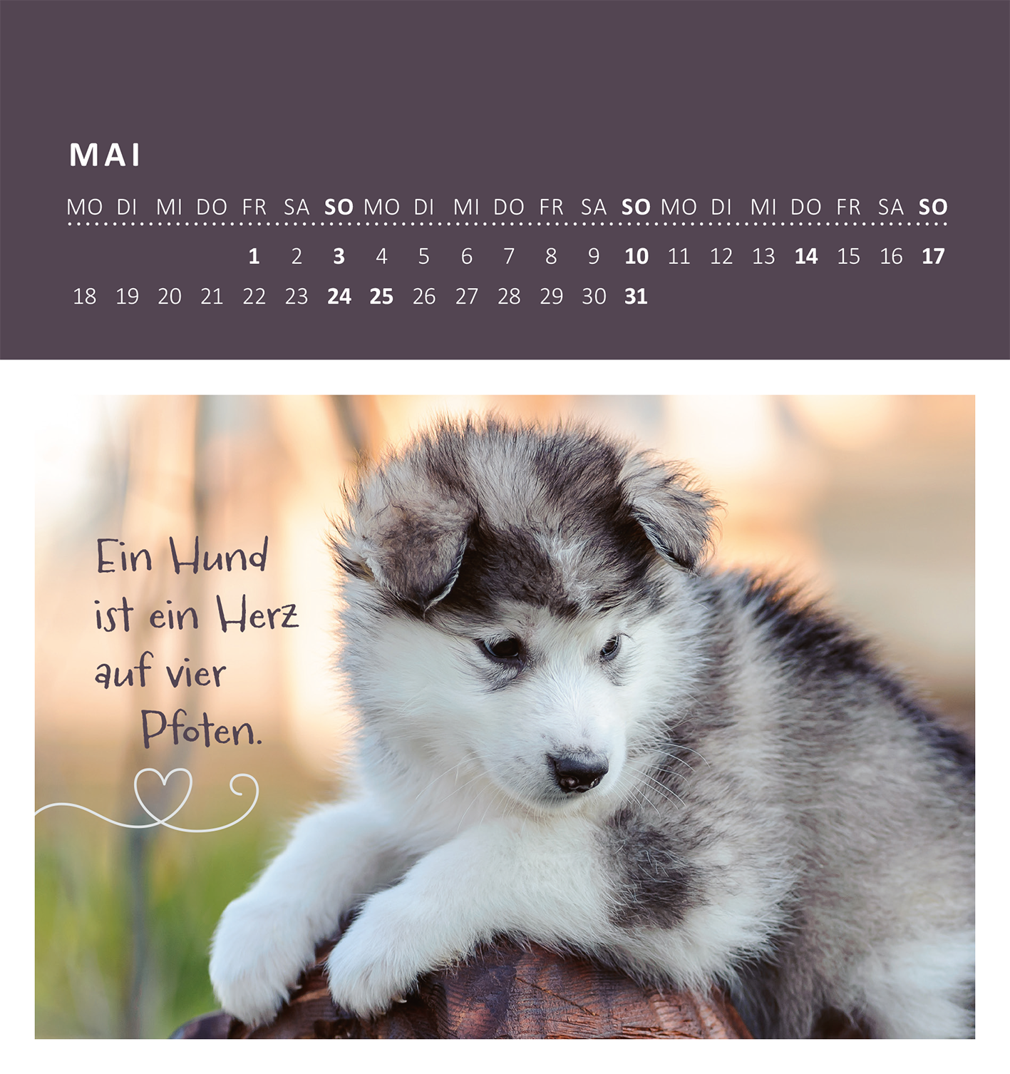 Gezeigt wird eine Innen- oder Zusatzansicht von „Wandkalender Süße Tierkinder 2026“. Der Kalenderblatts zeigt einen niedlichen, grau-weißen Welpen, der auf einem Baumstamm sitzt. Im Hintergrund sind sanfte, verschwommene Farben zu sehen. Ein Handlettering-Spruch in geschwungener Schrift besagt: „Ein Hund ist ein Herz auf vier Pfoten.“ Die Farben sind warm und einladend, wobei der obere Bereich ein dunkles Lila zur Monatsübersicht zeigt.