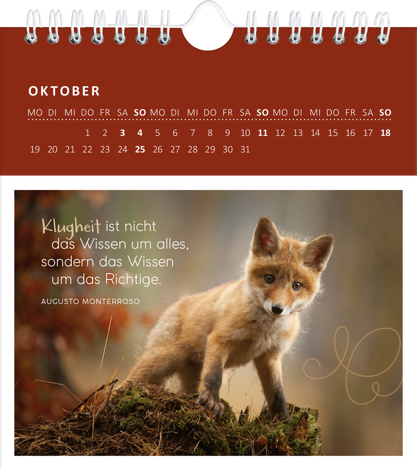 Gezeigt wird eine Innen- oder Zusatzansicht von „Wandkalender Süße Tierkinder 2026“. Im oberen Bereich ist ein dunkelroter Hintergrund mit dem Monat „OKTOBER“ in weißer Schrift. Darunter befindet sich das Bild eines jungen Fuchses, der auf einem Baumstamm steht, umgeben von herbstlichen Blättern. Rechts neben dem Fuchs steht der Spruch „Klugheit ist nicht das Wissen um alles, sondern das Wissen um das Richtige.“ in weicher Schrift. Die Farben sind warm und einladend, die...