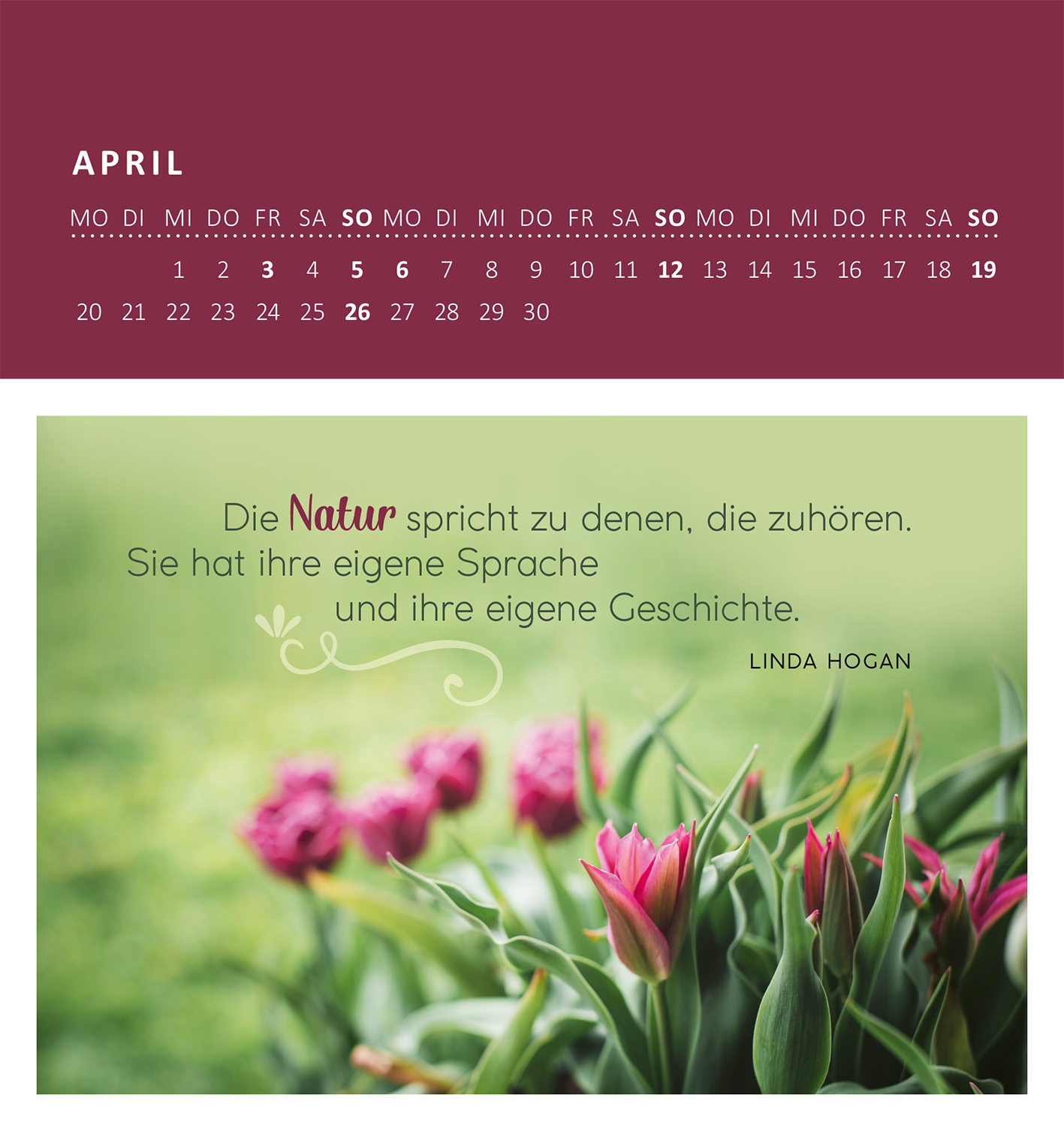 Gezeigt wird eine Innen- oder Zusatzansicht von „Wandkalender Gartenglück 2026“. Der April ist dargestellt, mit einem dunkelroten Kopfbereich, der die Wochentage in weißer Schrift anzeigt. Darunter befindet sich ein sanfter Hintergrund in Hellgrün, auf dem eine Gruppenaufnahme von bunten Tulpen zu sehen ist. Ein Zitat von Linda Hogan in eleganter, grauer Schrift hebt die Verbindung zur Natur hervor. Die Gesamtgestaltung wirkt harmonisch und einladend.