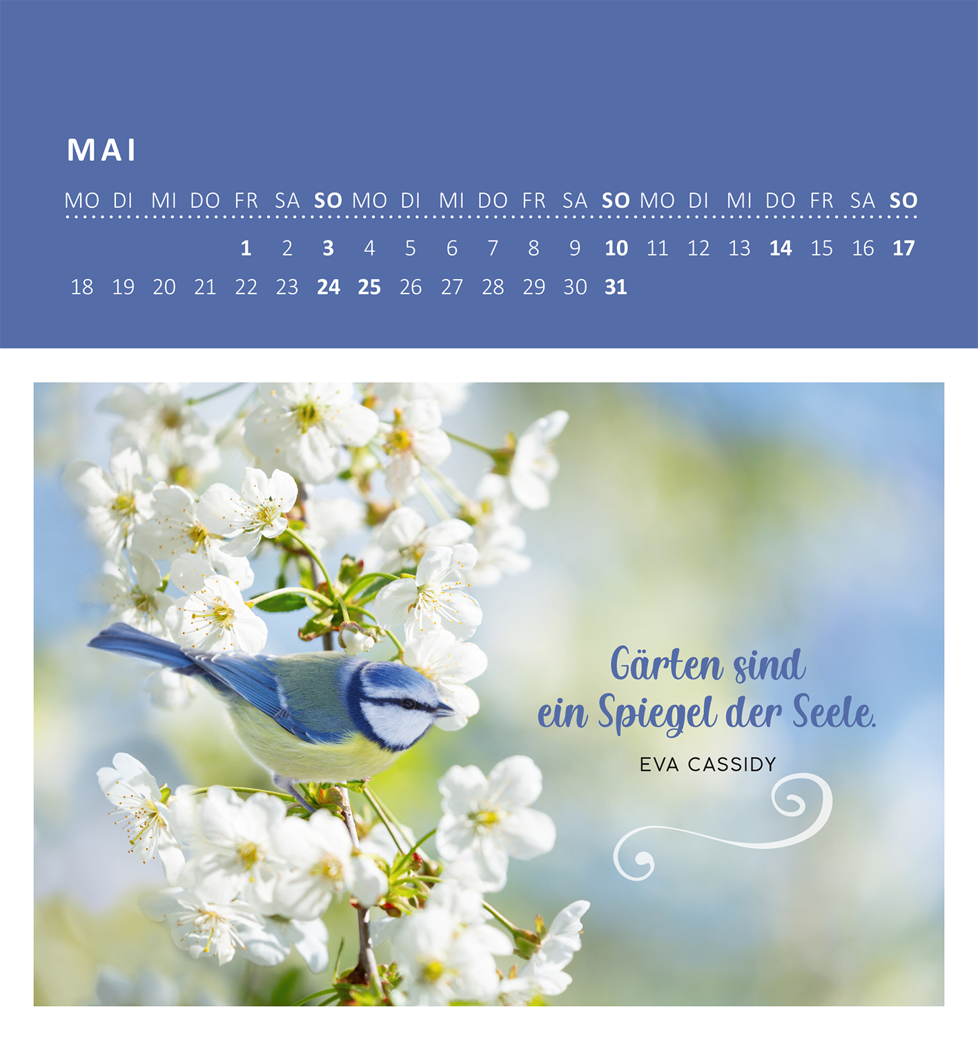 Gezeigt wird eine Innen- oder Zusatzansicht von „Wandkalender Gartenglück 2026“. Der Kalender zeigt im Monat Mai eine farbenfrohe Illustration eines Blaumeisenvogel, der auf einem blühenden Kirschbaum sitzt. Die dominierenden Farben sind Weiß, Hellblau und sanfte Grüntöne. Der Schriftzug „Gärten sind ein Spiegel der Seele.“ von Eva Cassidy ist in einer eleganten, kursiven Schrift geschrieben, in sanften Blautönen, und wird von verschnörkelten Elementen umrahmt. Oben ist der...