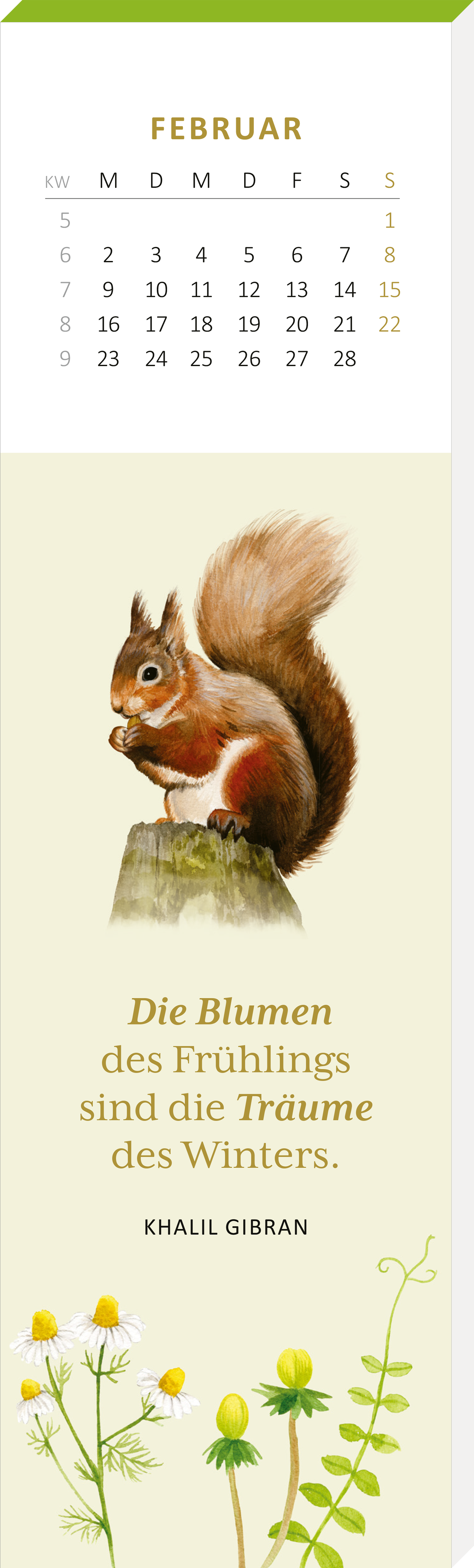 Gezeigt wird eine Innen- oder Zusatzansicht von „Lesezeichenkalender Naturschätze 2026“. Die Ansicht zeigt einen Monat im Februar mit einer hellen Hintergrundfarbe. Oben befindet sich ein Kalender mit Wochentagen und Zahlen in einer klaren, gut lesbaren Schrift. In der Mitte ist ein buntes Eichhörnchen zu sehen, das eine Nuss hält. Darunter steht das Zitat „Die Blumen des Frühlings sind die Träume des Winters.“ in einer eleganten, geschwungenen Schrift. Unten blühen kleine,...
