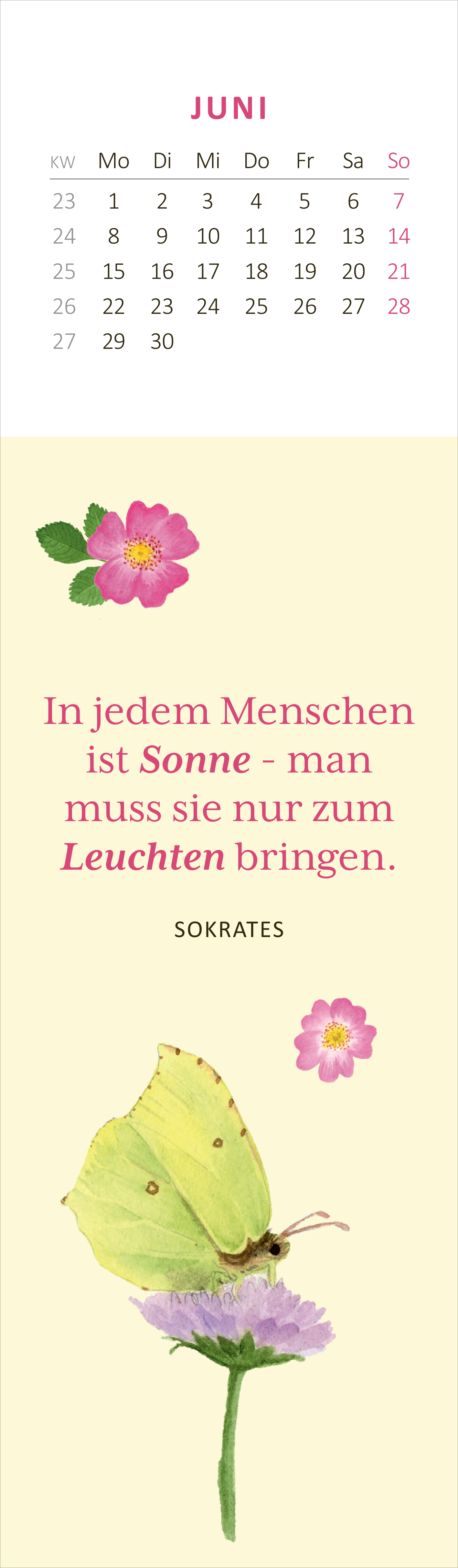 Gezeigt wird eine Innen- oder Zusatzansicht von „Lesezeichenkalender Naturschätze 2026“. Der Kalender zeigt die Monatsübersicht für Juni, begleitet von einem hellen, sandfarbenen Hintergrund. Ein Zitat von Sokrates in verspielter, roter Typografie hebt sich ab. Über dem Zitat sind stilisierte, pinke Blumen abgebildet, während eine gelbe Schmetterlingsillustration auf einer Blüte unten rechts platziert ist. Das Gesamtbild strahlt Frische und Naturverbundenheit aus.