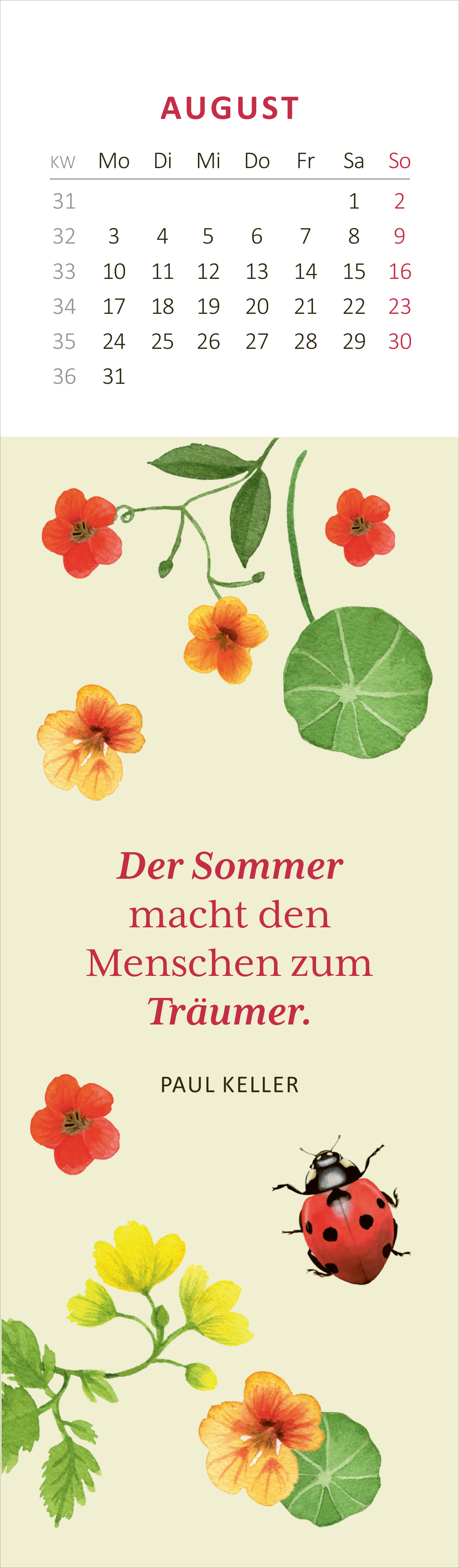 Gezeigt wird eine Innen- oder Zusatzansicht von „Lesezeichenkalender Naturschätze 2026“. Oben befindet sich ein Kalendarium für den August, in rot und schwarz, mit Platz für Wochentage und Zahlen. Darunter eine helle, sanfte Hintergrundfarbe, umrahmt von blühenden, gelben und roten Kapuzinerkressen sowie einem Marienkäfer. In der Mitte steht in eleganter, roter Schrift der Spruch „Der Sommer macht den Menschen zum Träumer.“ von Paul Keller.
