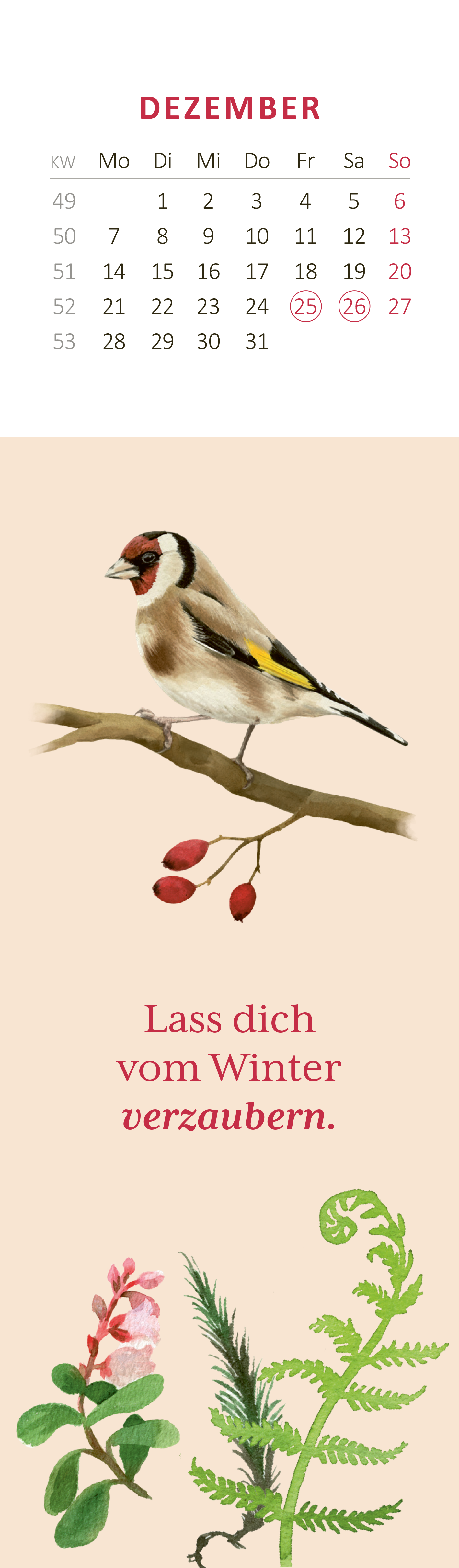 Gezeigt wird eine Innen- oder Zusatzansicht von „Lesezeichenkalender Naturschätze 2026“. Die Ansicht präsentiert den Dezember mit einem hellen, sanften Hintergrund. Daran ist ein farbenfroher, detailreicher Vogel auf einem Zweig abgebildet. Unter dem Vogel steht der einladende Text „Lass dich vom Winter verzaubern“ in einer warmen roten Schrift. Zudem sind zarte Pflanzenillustrationen in sanften Farben integriert, die die herbstliche Stimmung unterstreichen.
