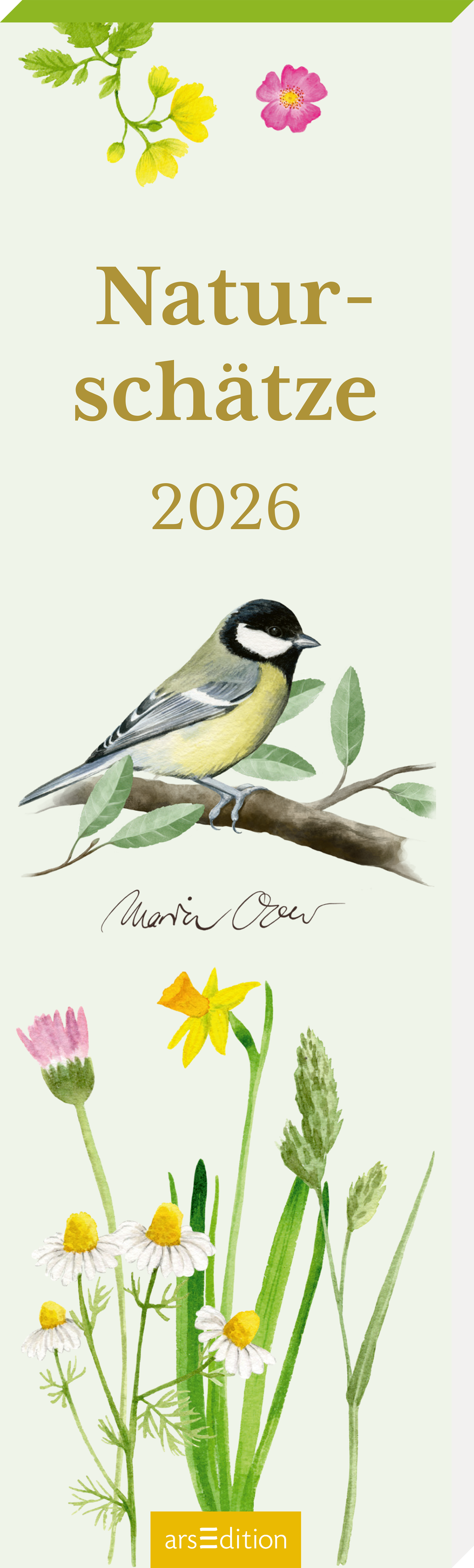 Das Cover zeigt einen zarten, hellgrünen Hintergrund. In der Mitte thront der Titel „Naturschätze“ in eleganter, goldener Schrift, gefolgt von der Jahreszahl „2026“. Links ist ein fein gezeichneter, bunter Vogel auf einem Zweig abgebildet. Am unteren Rand sind verschiedene, stilisierte Wildblumen in sanften Farben dargestellt. Ganz unten mittig steht der Logoschriftzug von arsEdition.