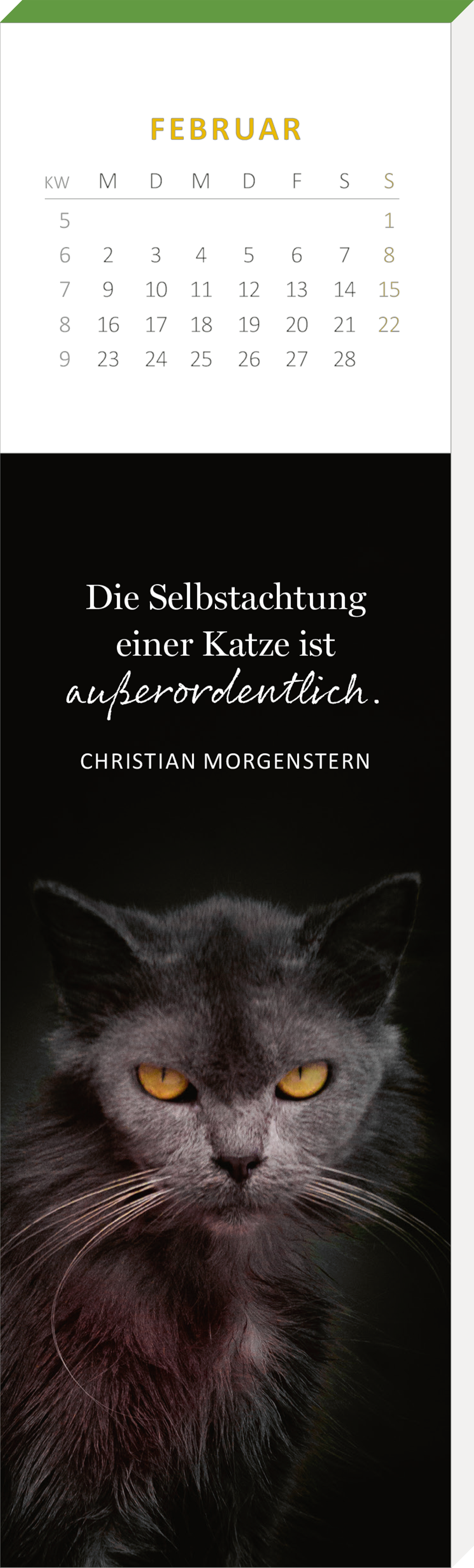 Gezeigt wird eine Innen- oder Zusatzansicht von „Lesezeichenkalender Katzenglück 2026“. Das Design zeigt im oberen Bereich einen kalendarischen Monatsüberblick für Februar in sanften Grüntönen. Darunter befindet sich ein schwarzer Hintergrund mit einem aufmerksamen Katzenportrait, das in dunklen Grautönen gehalten ist. Der Text „Die Selbstachtung einer Katze ist außergewöhnlich.“ erscheint in eleganter, weißer Schrift. Darunter steht der Name „CHRISTIAN MORGENSTERN“ in...