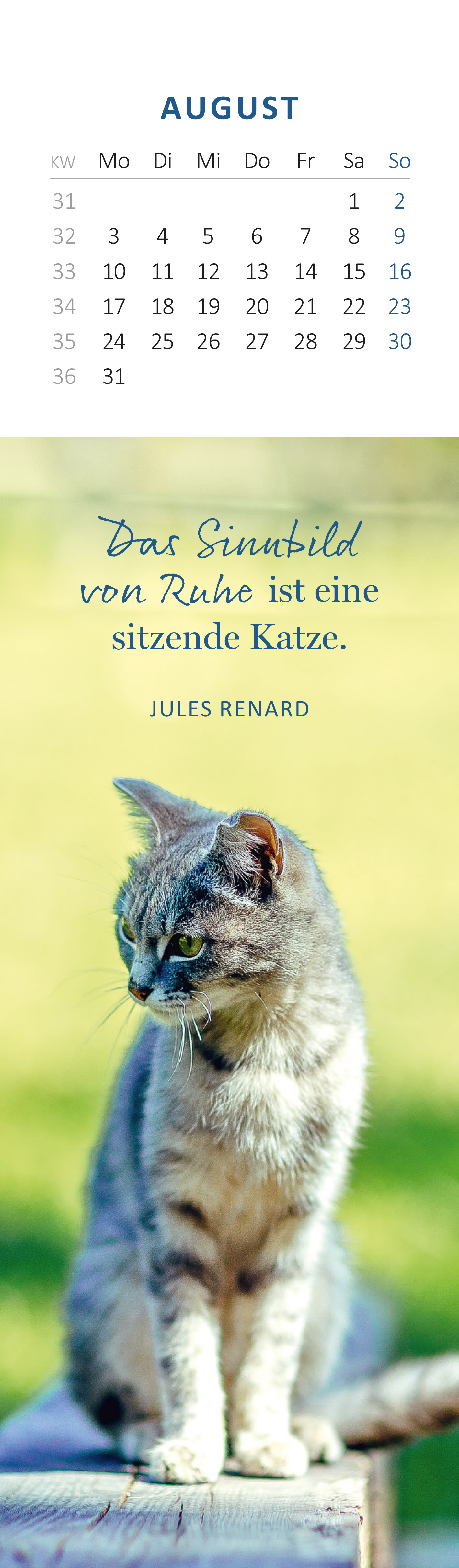 Gezeigt wird eine Innen- oder Zusatzansicht von „Lesezeichenkalender Katzenglück 2026“. Der Kalender zeigt im August eine hochwertige Abbildung einer sitzenden Katze auf einem sanften, grünen Hintergrund. Darüber steht der Monat „AUGUST“ in klaren, blauen Großbuchstaben. Darunter befindet sich das Zitat „Das Sinnbild von Ruhe ist eine sitzende Katze“ in eleganter, geschwungener Schrift. Die Gesamtkomposition strahlt eine harmonische und beruhigende Atmosphäre aus.