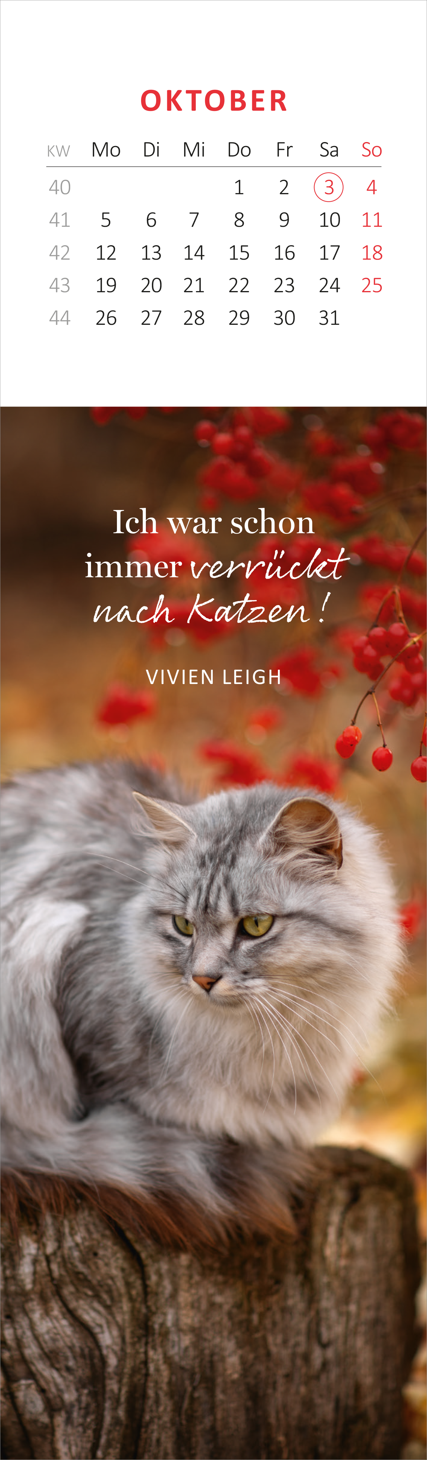 Gezeigt wird eine Innen- oder Zusatzansicht von „Lesezeichenkalender Katzenglück 2026“. Die Darstellung zeigt den Monat Oktober mit einem Kalenderlayout in sanften Farbtönen. Oben befindet sich eine farblich abgestimmte Monatsüberschrift „Oktober“. Darunter steht ein Zitat von Vivien Leigh in eleganter Typografie: „Ich war schon immer verrückt nach Katzen!“ Zudem ist eine graue Katze in einer natürlichen Umgebung abgebildet, umgeben von leicht verschwommenen roten Beeren, die...