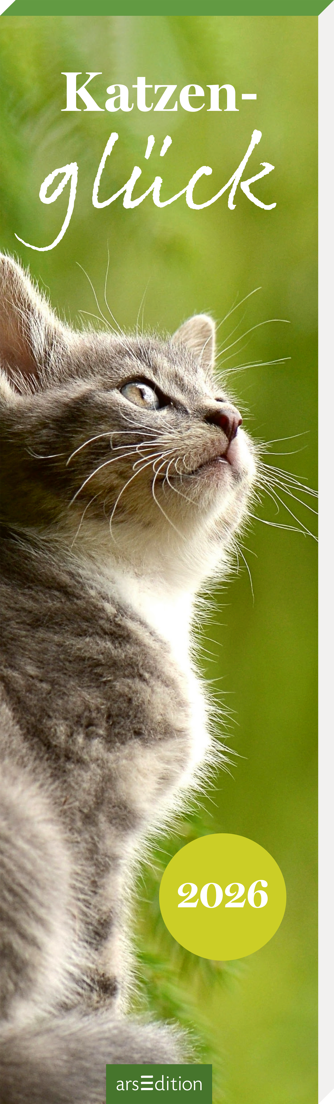 Das Buchcover zeigt eine graue Katze, die neugierig nach oben blickt. Der Hintergrund ist in sanften Grüntönen gehalten, die eine natürliche und beruhigende Atmosphäre schaffen. Der Titel „Katzen- glück“ ist in verspielter, heller Schriftart in der oberen Hälfte des Covers platziert. Unterhalb der Katze befindet sich das Jahr „2026“ in einer runden, gelben Schrift. Ganz unten mittig steht der Logoschriftzug von arsEdition.