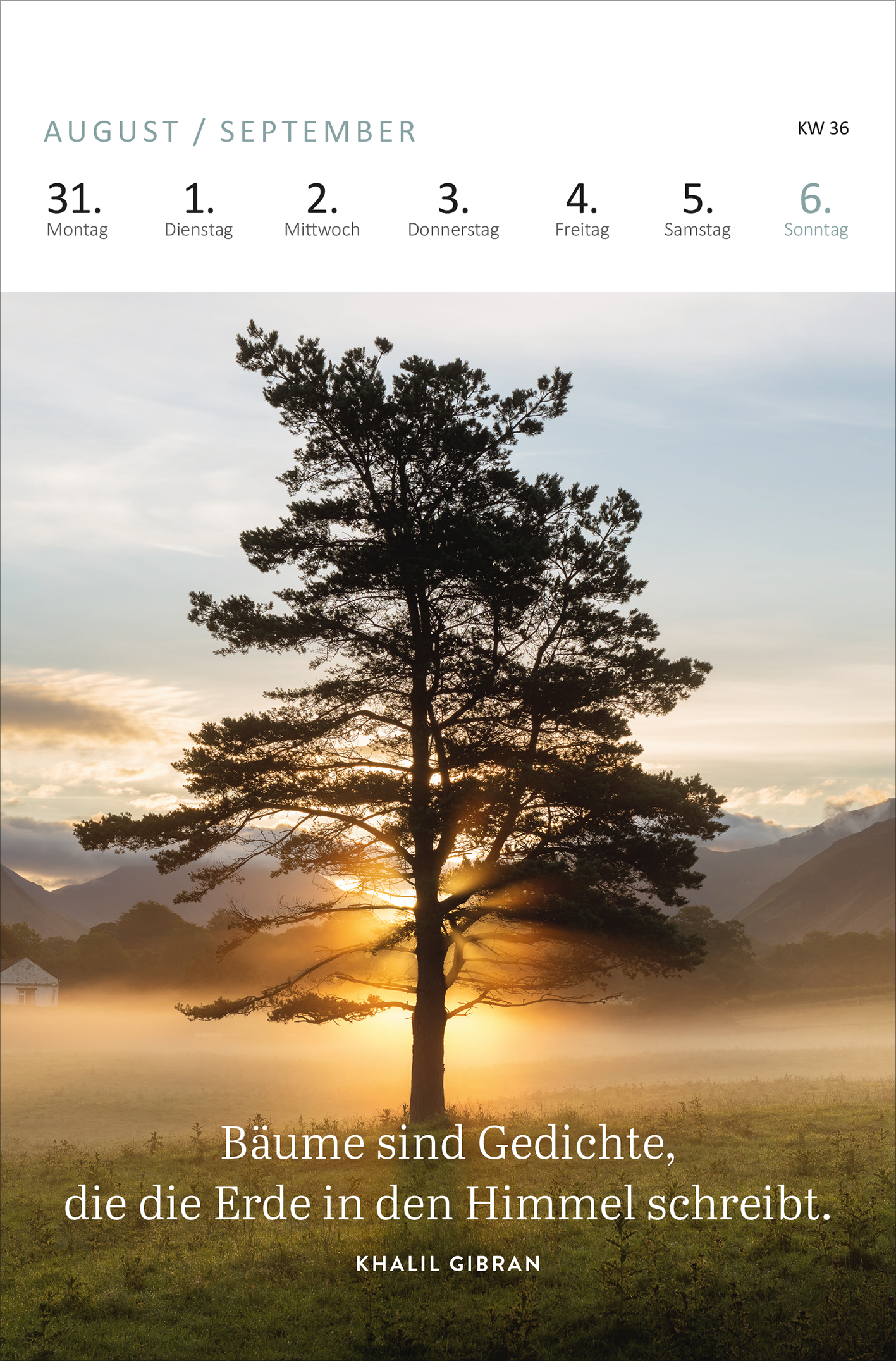 Gezeigt wird eine Innen- oder Zusatzansicht von „Wochenkalender Wald, Wiese und wunderbar 2026“. Die Ansicht präsentiert einen großformatigen Baum in eine sanfte, neblige Landschaft eingebettet, während die Sonne sanft aufgeht. Oben sind die Monate August und September sowie die Kalenderwoche 36 in klarer, moderner Schrift platziert. Unter dem Baum steht der Schriftzug „Bäume sind Gedichte, die die Erde in den Himmel schreibt.“ in ansprechender Typografie, ergänzt durch den Namen...
