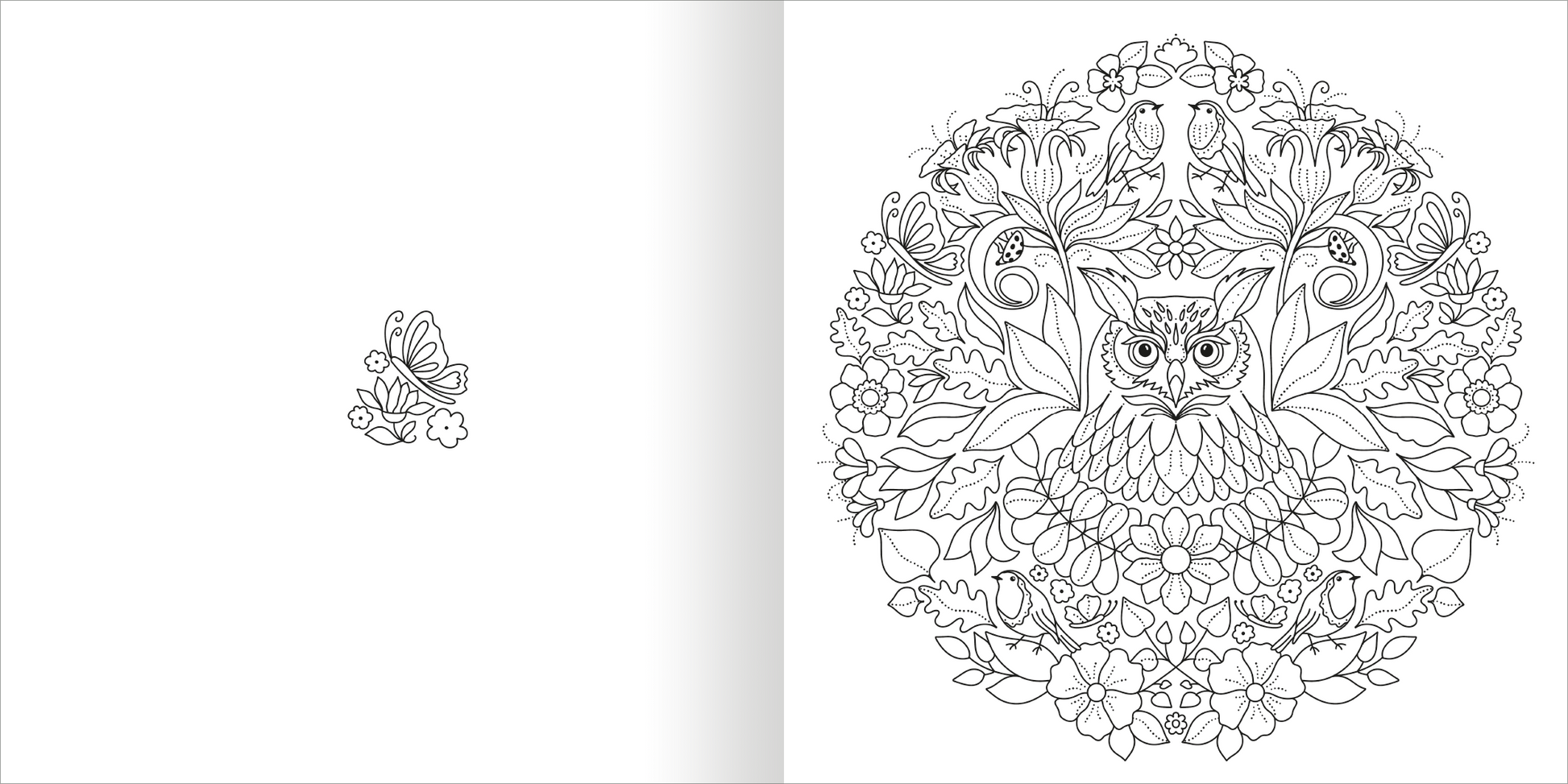 Gezeigt wird eine Innen- oder Zusatzansicht von „Mandala-Zauber – Im Grünen“. Auf der linken Seite befindet sich ein kleines, detailreiches Motiv eines Schmetterlings und einer Blume. Rechts entfaltet sich ein großzügiges, symmetrisches Mandala mit einer Eule im Zentrum, umgeben von floralen Mustern und Vögeln. Die Zeichnung ist in Schwarz-Weiß gehalten und betont feine Linien und ornamentale Details, was kreative Farbgestaltungen anregt.