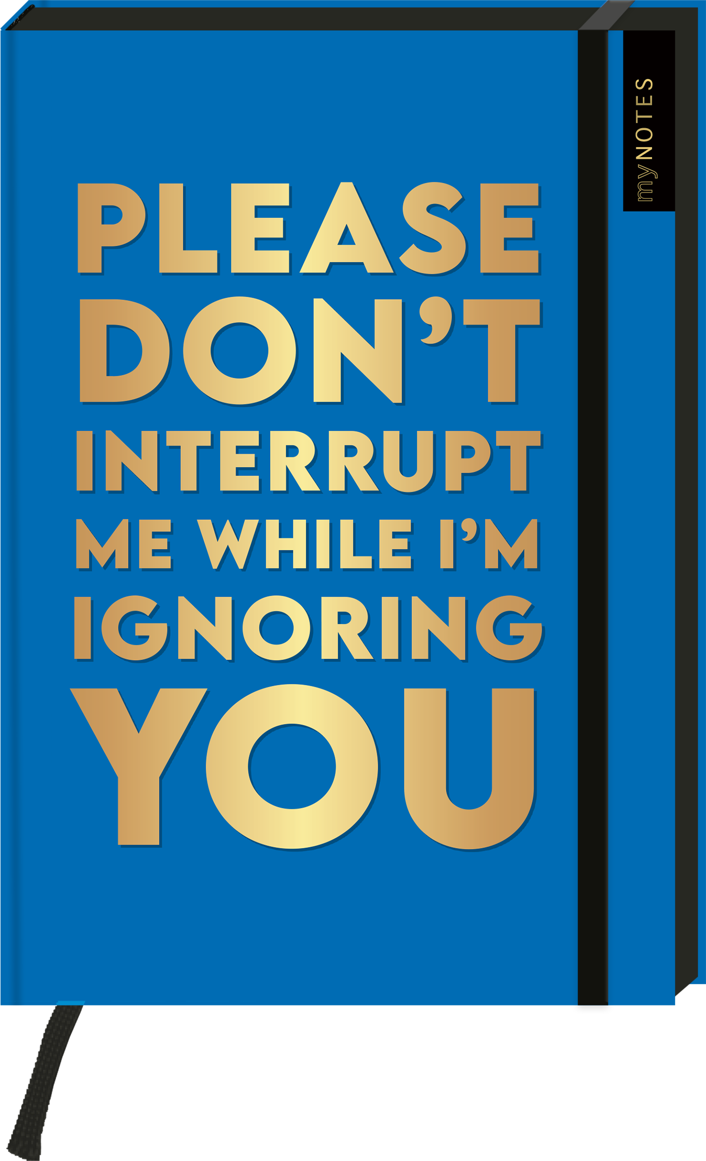 Das Cover zeigt einen hellblauen Hintergrund. In großen, goldenen Buchstaben steht der Text „PLEASE DON’T INTERRUPT ME WHILE I’M IGNORING YOU“ in verschiedenen Schriftgrößen. Die Schrift wirkt modern und auffällig. Oben rechts ist in kleinerer Schrift „my NOTES“ platziert. Ganz unten mittig steht der Logoschriftzug von arsEdition.