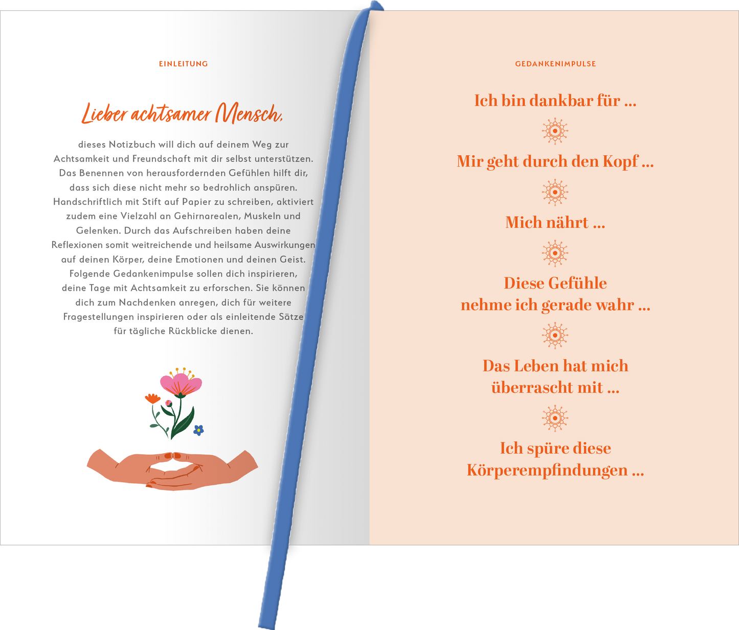 Gezeigt wird eine Innen- oder Zusatzansicht von „myNOTES Papeterie: Notizbuch A5 Sei bei dir“. Die Seite präsentiert eine sanfte Farbpalette mit warmen Tönen in Pastellorange und Creme. Oben rechts steht in verspielter, orangefarbener Schrift „EINLEITUNG“ gefolgt von der Ansprache „Lieber achtsamer Mensch“. Links unten ist eine Illustration von Händen zu sehen, die eine blühende Pflanze halten. Auf der rechten Seite sind verschiedene „Gedankenpausen“ in einer klaren,...