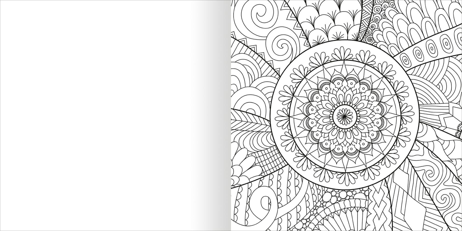 Gezeigt wird eine Innen- oder Zusatzansicht von „Diamond Achtsamkeit“. Die Abbildung zeigt eine detailreiche schwarz-weiße Ausmalseite, die mit floralen Mustern, geometrischen Formen und spiralförmigen Designs verziert ist. Im Zentrum befindet sich ein mandalaähnliches Muster, umgeben von geschwungenen Linien und grafischen Elementen. Die Gestaltung vermittelt ein harmonisches und beruhigendes Gefühl, ideal für Achtsamkeitsübungen. Der Hintergrund bleibt weiß, was die Klarheit und...