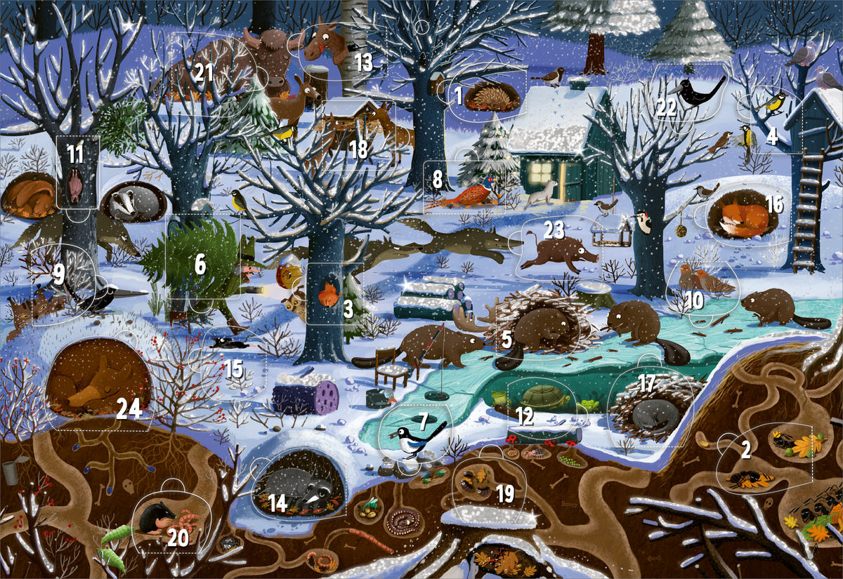 Das Buchcover zeigt ein winterliches Waldszenario mit schneebedeckten Bäumen, einem kleinen Holzhaus im Hintergrund und einer lebendigen Tierwelt, darunter verschiedene Tiere wie Igel, Vögel, Biber und einen Fuchs. Die Farbpalette umfasst kühle Blautöne und warme Erdtöne, was zusammen mit dem Schnee eine behagliche, winterliche Atmosphäre erzeugt. Zudem enthält der Adventskalender 24 Türchen zum Öffnen.