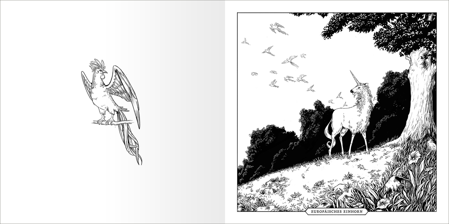 Gezeigt wird eine Innenansicht von „Das große Fabelwesen-Malbuch“. Links ist eine detaillierte Zeichnung eines Phönix abgebildet, während rechts ein Einhorn in einer idyllischen Landschaft steht, umgeben von Bäumen und Blumen. Die Illustrationen sind in klaren, schwarzen Linien gehalten, und der Hintergrund ist mit feinen, schattierten Details ausgearbeitet. Die Typografie am unteren Rand zeigt den Titel „Europäisches Einhorn“.
