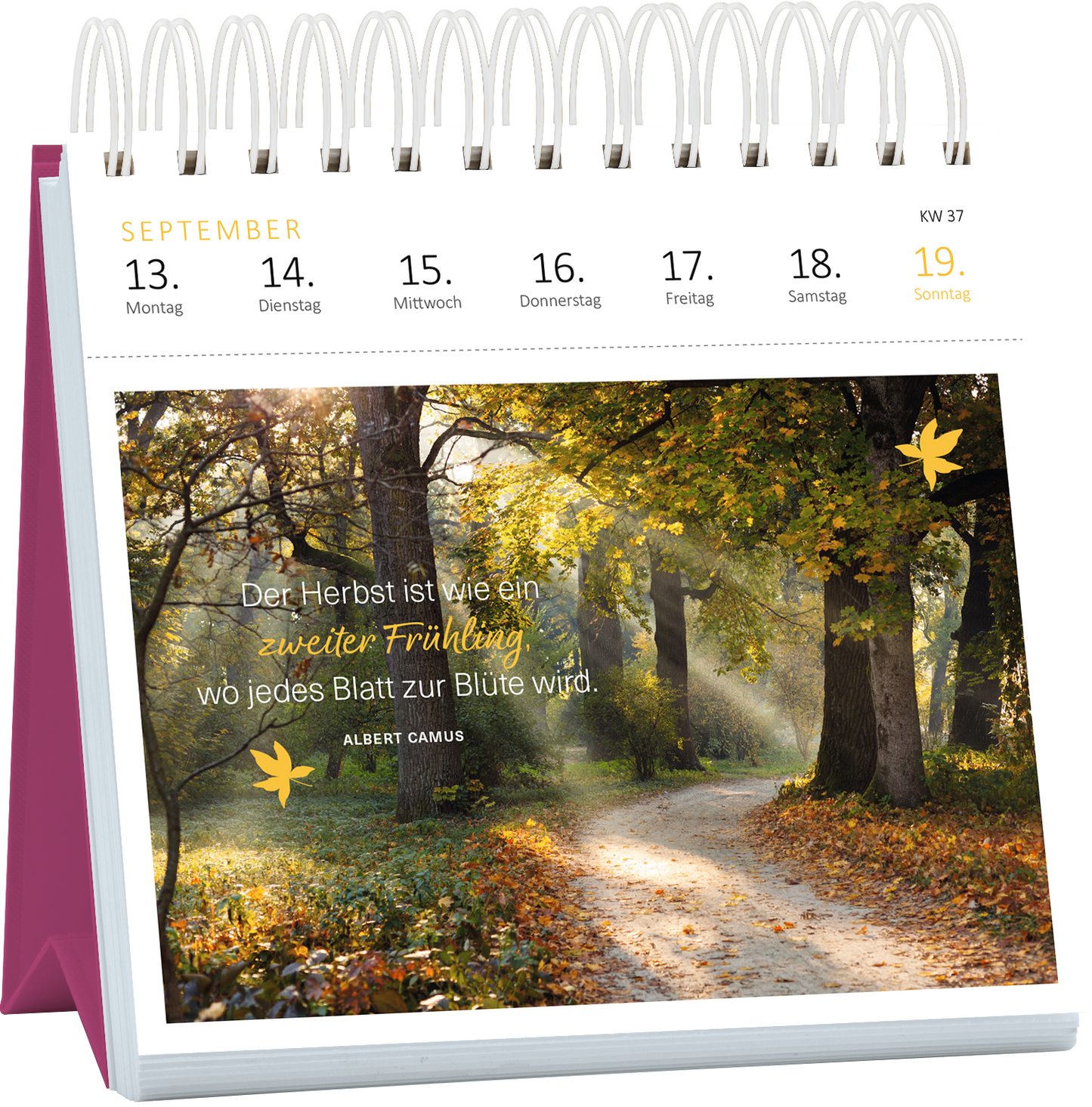 Gezeigt wird eine Innen- oder Zusatzansicht von „Postkartenkalender 365 Tage Achtsamkeit 2027“. Die Seite für den Monat September präsentiert ein sanftes Herbstmotiv mit einem lichtdurchfluteten Weg durch einen Wald. In warmen Gelb- und Brauntönen gehalten, ergänzt von einer stilisierten, gelben Blattform. Der inspirierende Text von Albert Camus hebt sich in einer gut lesbaren, eleganten Schrift ab und beschreibt den Herbst als „zweiten Frühling“. Die Kalenderdaten sind...
