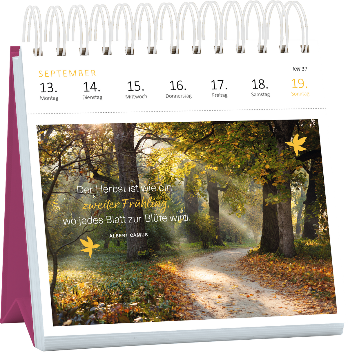 Gezeigt wird eine Innen- oder Zusatzansicht von „Postkartenkalender 365 Tage Achtsamkeit 2027“. Die Seite für den Monat September präsentiert ein sanftes Herbstmotiv mit einem lichtdurchfluteten Weg durch einen Wald. In warmen Gelb- und Brauntönen gehalten, ergänzt von einer stilisierten, gelben Blattform. Der inspirierende Text von Albert Camus hebt sich in einer gut lesbaren, eleganten Schrift ab und beschreibt den Herbst als „zweiten Frühling“. Die Kalenderdaten sind...