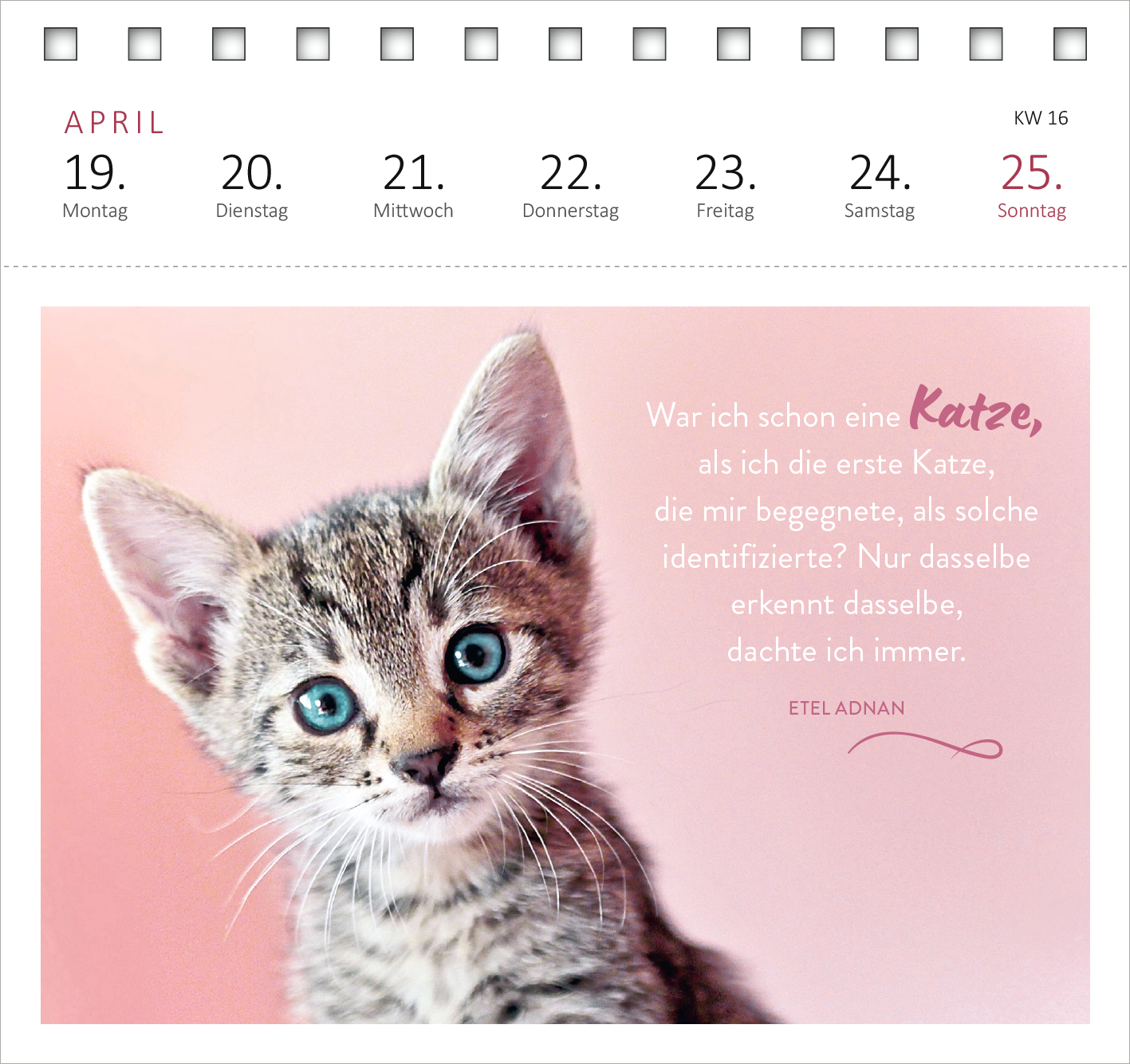 Gezeigt wird eine Innen- oder Zusatzansicht von „Postkartenkalender Katzenweisheiten 2027“. Die Seite zeigt ein niedliches Kätzchen mit großen, blauen Augen auf einem sanften, rosa Hintergrund. Oben sind die Wochentage des aktuellen Monats April aufgelistet, während im unteren Bereich ein Zitat von Etel Adnan in einer eleganten, verspielten Schriftart zu sehen ist. Die Gestaltung kombiniert freundliche Farben und ansprechende Typografie, um eine einladende Atmosphäre zu schaffen.