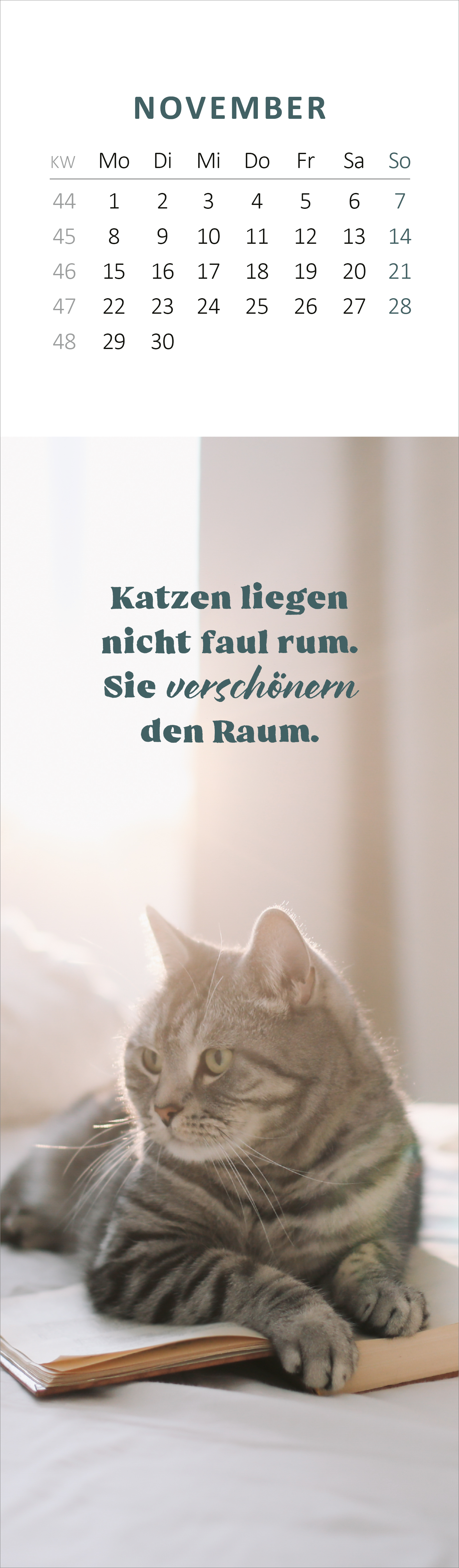 Gezeigt wird eine Innen- oder Zusatzansicht von „Lesezeichenkalender Katzenglück 2027“. Die Ansicht zeigt einen Novembermonat mit einem dezenten, hellen Hintergrund und einem klar strukturierten Kalendarium. Darunter steht der Spruch „Katzen liegen nicht faul rum. Sie verschwinden den Raum.“ in eleganter, grüner Typografie. Am unteren Rand ist eine graue Katze abgebildet, die entspannt auf einem Buch sitzt. Die Farben sind sanft, freundlich und passen harmonisch zusammen.