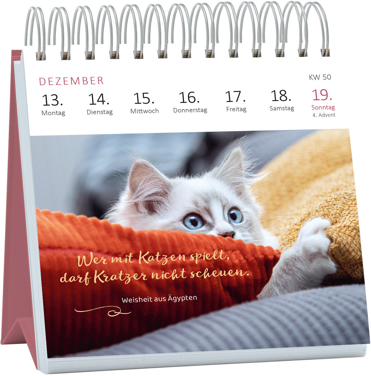 Gezeigt wird eine Innen- oder Zusatzansicht von „Mini-Wochenkalender Katzenweisheiten 2027“. Auf der Seite für Dezember ist ein süßes Kätzchen abgebildet, das neugierig aus einem roten Kissen schaut. Der Hintergrund enthält sanfte, verschwommene Farben. Über dem Bild steht in verspielter, weißer Schrift der Spruch „Wer mit Katzen spielt, darf Kratzer nicht scheuen.“ Darunter ist die Quellenangabe „weisheit aus Ägypten“ in kleinerer, goldfarbener Typografie. Der Kalender hat...