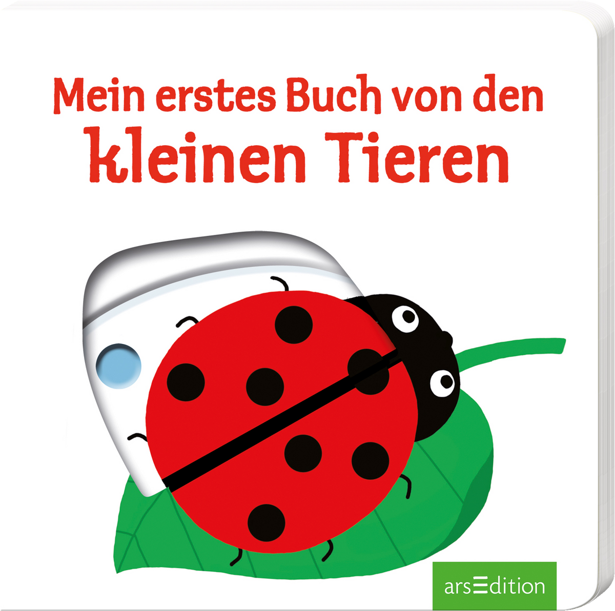 Das Buchcover zeigt ein farbenfrohes, kindgerechtes Design mit einem grünem Blatt, auf dem ein roter Marienkäfer mit schwarzen Punkten sitzt. Über dem Marienkäfer sind stilisierte, einfache Illustrationen eines Käfers und einer Blüte. Die Schrift „Mein erstes Buch von den kleinen Tieren“ ist in großen, rot gehaltenen Buchstaben darüber platziert. Die Atmosphäre ist fröhlich und einladend für Kinder. Ganz unten mittig steht der Logoschriftzug von arsEdition.