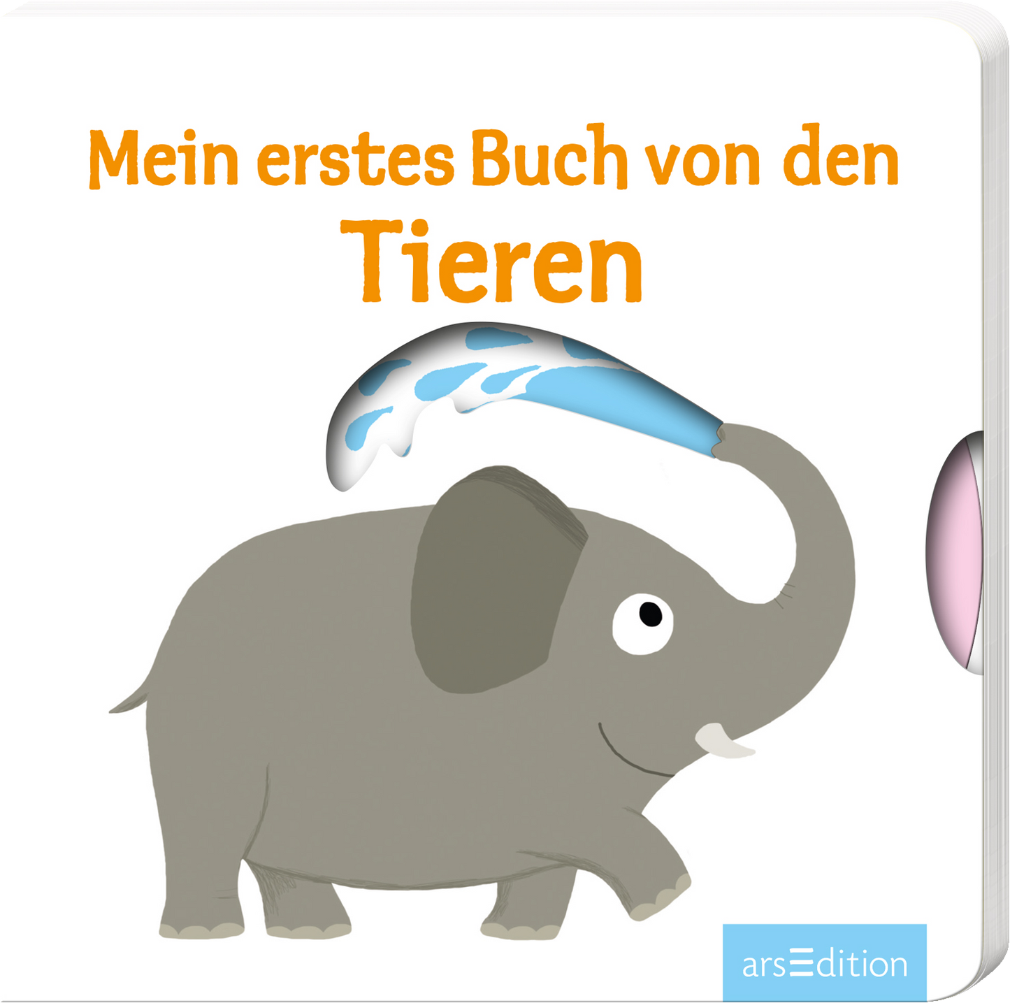 Das Buchcover zeigt einen fröhlichen, grauen Elefanten, der mit einem Wasserstrahl aus einem blauen Sprinkler spielt. Oben steht in großen, orangefarbenen Buchstaben „Mein erstes Buch von den“ und darunter in einer verspielten Schrift „Tieren“. Der Hintergrund ist weiß, was die lebendigen Farben hervorhebt und eine einladende, kindgerechte Atmosphäre schafft. Ganz unten mittig steht der Logoschriftzug von arsEdition.