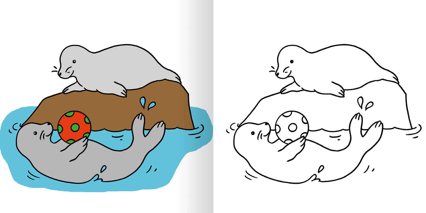 Gezeigt wird eine Innen- oder Zusatzansicht von „Mein erstes dickes Malbuch ab 2 – Bunte Tierwelt“. Auf der linken Seite ist eine bunte Illustration von zwei Seehunden zu sehen, die in einem Wasserbecken mit einem roten Ball spielen. Die Farben sind lebhaft und einladend, wobei Blau und Braun dominiert werden. Rechts befindet sich eine schwarz-weiße Konturzeichnung der gleichen Szene, ideal zum Ausmalen, mit klaren Linien und einfacher Formgebung.