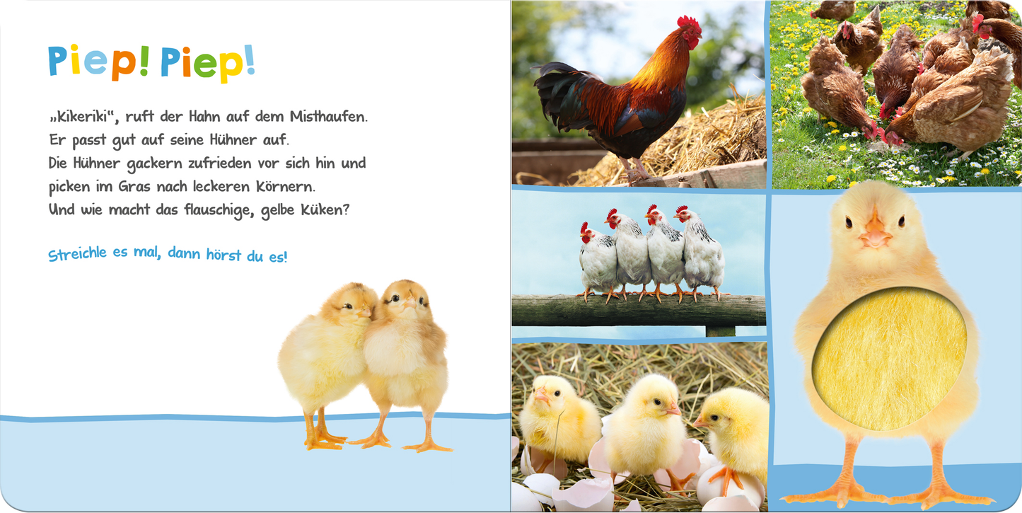 Gezeigt wird eine Innen- oder Zusatzansicht von „Hör mal rein, wer kann das sein? – Bauernhoftiere“. Auf der linken Seite steht der Titel „Piep! Piep!“ in bunten, großen Buchstaben. Darunter eine kurze Geschichte über Hühner und einen Hahn. Rechts sind mehrere Bilder von Bauernhoftieren in sanften Farben: ein Hahn, Hühner, Kücken und andere Tiere, die auf einer Wiese stehen. Die Typografie ist kinderfreundlich, verspielt und gut lesbar.