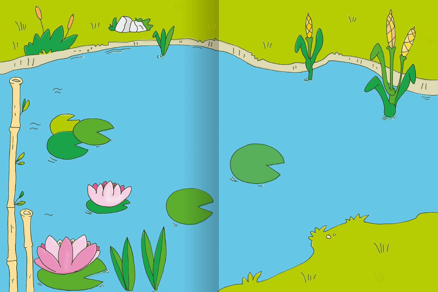 Gezeigt wird eine Innen- oder Zusatzansicht von „Erstes Stickern – Bauernhof“. Die Illustration zeigt einen ruhigen Teich, umgeben von lebendigem Grün. Im Wasser schwimmen verschiedenfarbige Seerosen, darunter rosa und grüne Blüten. Am Rand wachsen hohe Pflanzen und Schilfrohre, die ein harmonisches Bild der Natur erschaffen. Der Himmel erscheint hell und klar, was die fröhliche Atmosphäre der Szene unterstreicht. Die Linien sind klar und die Farben leuchtend.