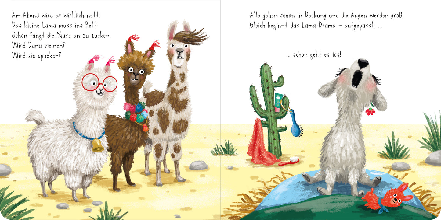 Gezeigt wird eine Innen- oder Zusatzansicht von „Immer Drama mit dem Lama!“. Auf der linken Seite sind drei lustige Lamas abgebildet: eines mit einer bunten Halskette und eine Brille tragend, das andere mit einem wilden Haarschnitt. Auf der rechten Seite sehen wir eine aufgeregte weiße Hundfigur, die vor einem Kaktus steht. Die Farben sind kräftig und fröhlich, mit einem hellen Wüstensandton und lebendigen Akzenten. Die Schrift ist spielerisch und kindgerecht gestaltet.