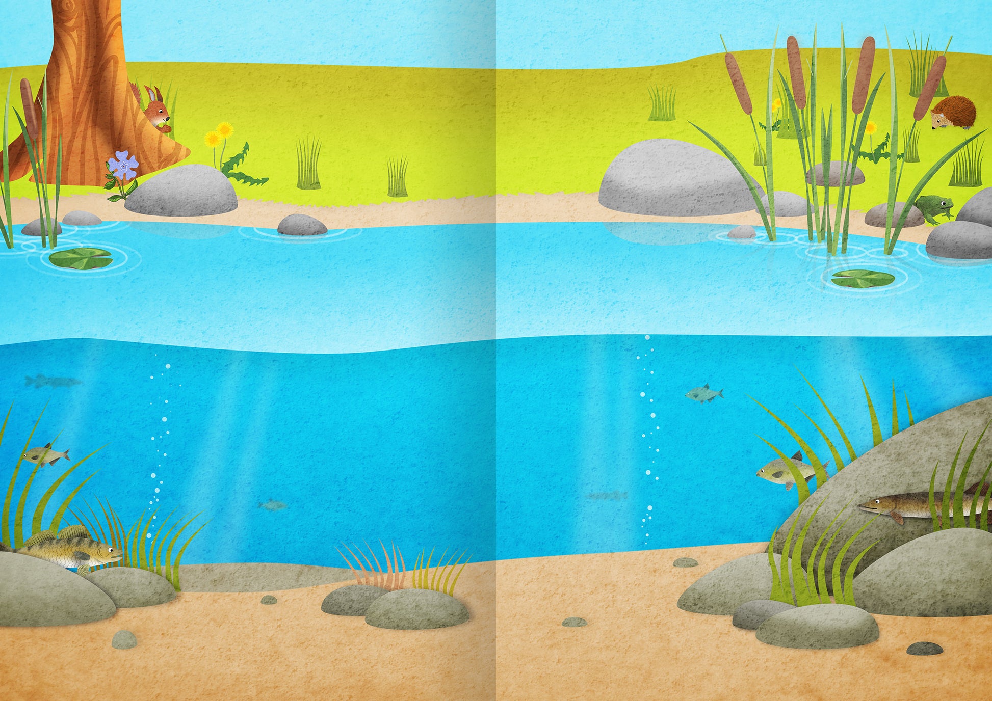 Gezeigt wird eine Innen- oder Zusatzansicht von „Mein Natur-Stickerbuch“. Die Illustration zeigt eine idyllische Naturansicht mit einem klaren blauen Gewässer, das von runden Steinen und grünen Schilfrohren umrandet ist. Am Ufer sind flache Sandflächen sowie grüne Pflanzen und bunte Blumen zu sehen. In und über dem Wasser schwimmen kleine Fische, während die klare, sonnige Atmosphäre in sanften Blau- und Grüntönen gehalten ist. Die Schrift ist kindgerecht und gut lesbar.