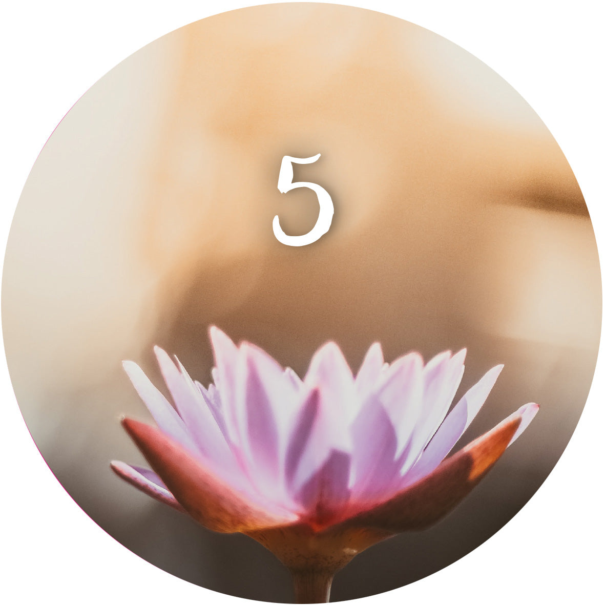 „Gezeigt wird eine Innen- oder Zusatzansicht von „Adventskalender in der Dose. 24 Momente der Achtsamkeit“. Die Darstellung zeigt eine zarte, pinkfarbene Seerose vor einem sanften, warmen Hintergrund. In der oberen Mitte des Kreises steht die Zahl „5“ in eleganter, weißer Typografie, die sich harmonisch von der Blüte abhebt. Die Farbpalette ist beruhigend und weich, was die Achtsamkeit und Besinnung fördert.“