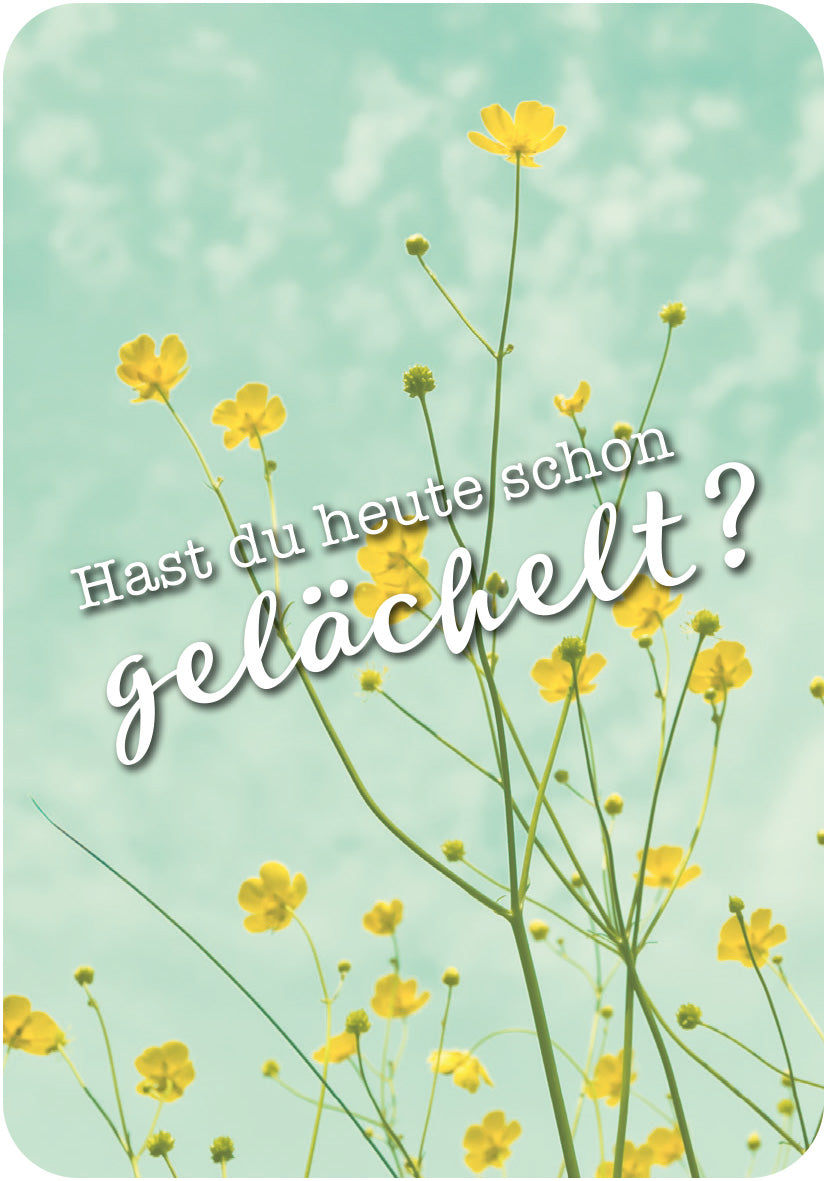 Gezeigt wird eine Innen- oder Zusatzansicht von „Sei frech und wild und wunderbar!“. Die Illustration zeigt einen hellen, freundlichen Hintergrund in sanften Aquatönen mit blühenden gelben Blumen, die dezent im Vordergrund angeordnet sind. Darüber steht der Schriftzug „Hast du heute schon gelächelt?“, der in verspielter, moderner Typografie gestaltet ist. Die Mischung aus Farben und Schrift vermittelt eine fröhliche und einladende Atmosphäre.