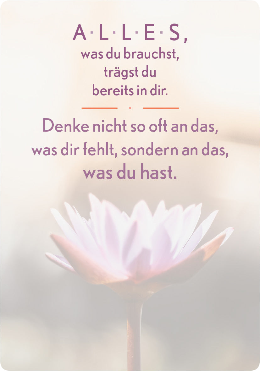 Gezeigt wird eine Innen- oder Zusatzansicht von „Glücksmantras für Alltagsheldinnen“. Der Hintergrund ist leicht verschwommen und zeigt eine zarte Blüte in sanften Rosé- und Lilatönen. In eleganter, verspielter Typografie sind die Worte „A L L E S, was du brauchst, trägst du bereits in dir“ und der Spruch „Denke nicht so oft an das, was dir fehlt, sondern an das, was du hast“ in dunklem Lila dargestellt. Die Gestaltung vermittelt eine positive, inspirierende Atmosphäre.