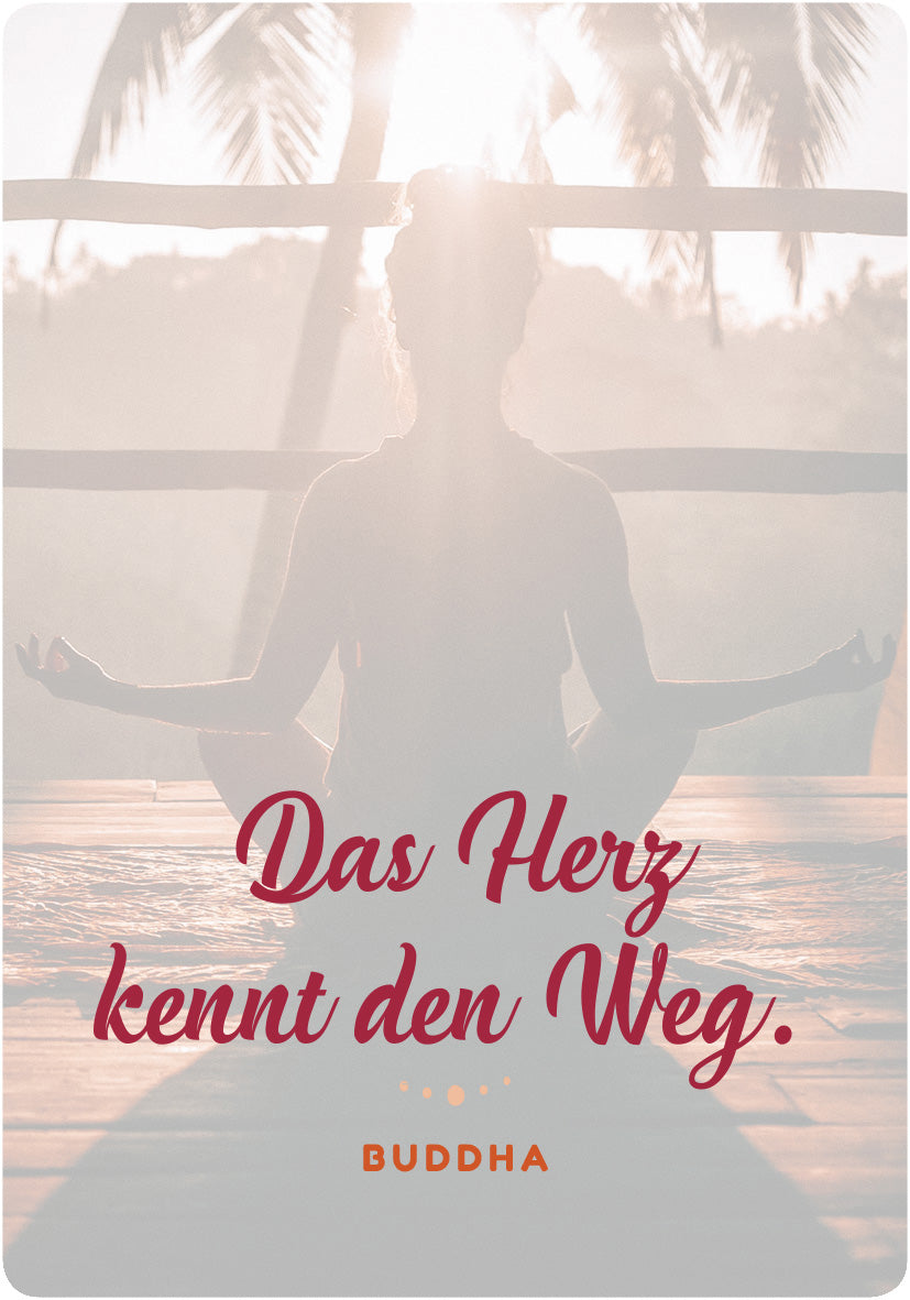 Gezeigt wird eine Innen- oder Zusatzansicht von „Glücksmantras für Alltagsheldinnen“. Der Hintergrund zeigt eine sanfte, sonnendurchflutete Szenerie mit Palmen und Holz. Im Vordergrund meditiert eine Person in yogischer Haltung. Über ihr steht in großen, geschwungenen Buchstaben der inspirierende Satz „Das Herz kennt den Weg“ in tiefrot, während darunter in schlichter Schrift das Wort „Buddha“ erscheint. Die Typografie kombiniert geschwungene und klare Elemente, was eine...