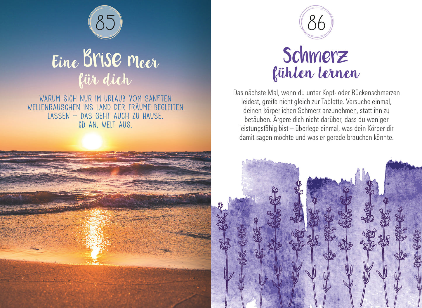 Gezeigt wird eine Innen- oder Zusatzansicht von „Achtsamkeit für dich“. Die linke Seite zeigt ein warmes Sonnenuntergangsbild über dem Meer, sanfte Farben in Gelb- und Blautönen, mit der Schrift „Eine Brise Meer für dich“ in verspielter, handschriftlicher Typografie. Auf der rechten Seite steht der Titel „Schmerz fühlen lernen“ in lila, gefolgt von einem Text, der in klarer, dunkler Schrift verfasst ist. Im Hintergrund sind lila Lavendelsträucher in einem aquarellartigen Stil...