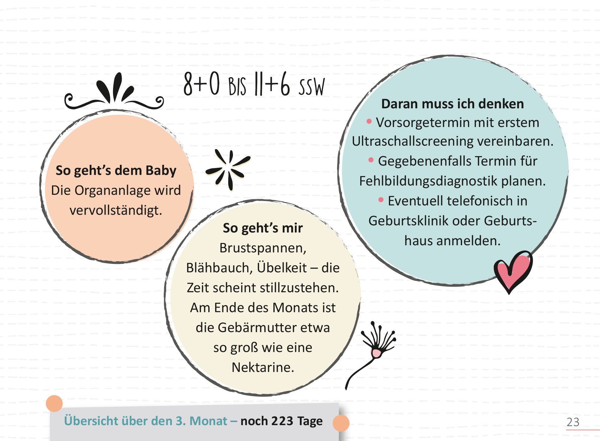 Gezeigt wird eine Innen- oder Zusatzansicht von „Deine Schwangerschaft, Tag für Tag“. Die Seite zeigt bunte, runde Elemente in sanften Farben, wie Rosa und Hellblau, die verschiedene Themen darstellen. In der Mitte sind ein größerer Kreis mit Informationen zum Baby und zwei kleinere mit persönlichen Empfindungen und Hinweisen. Die Schriftart ist modern und leicht lesbar, während verspielige grafische Akzente die Gestaltung auflockern.