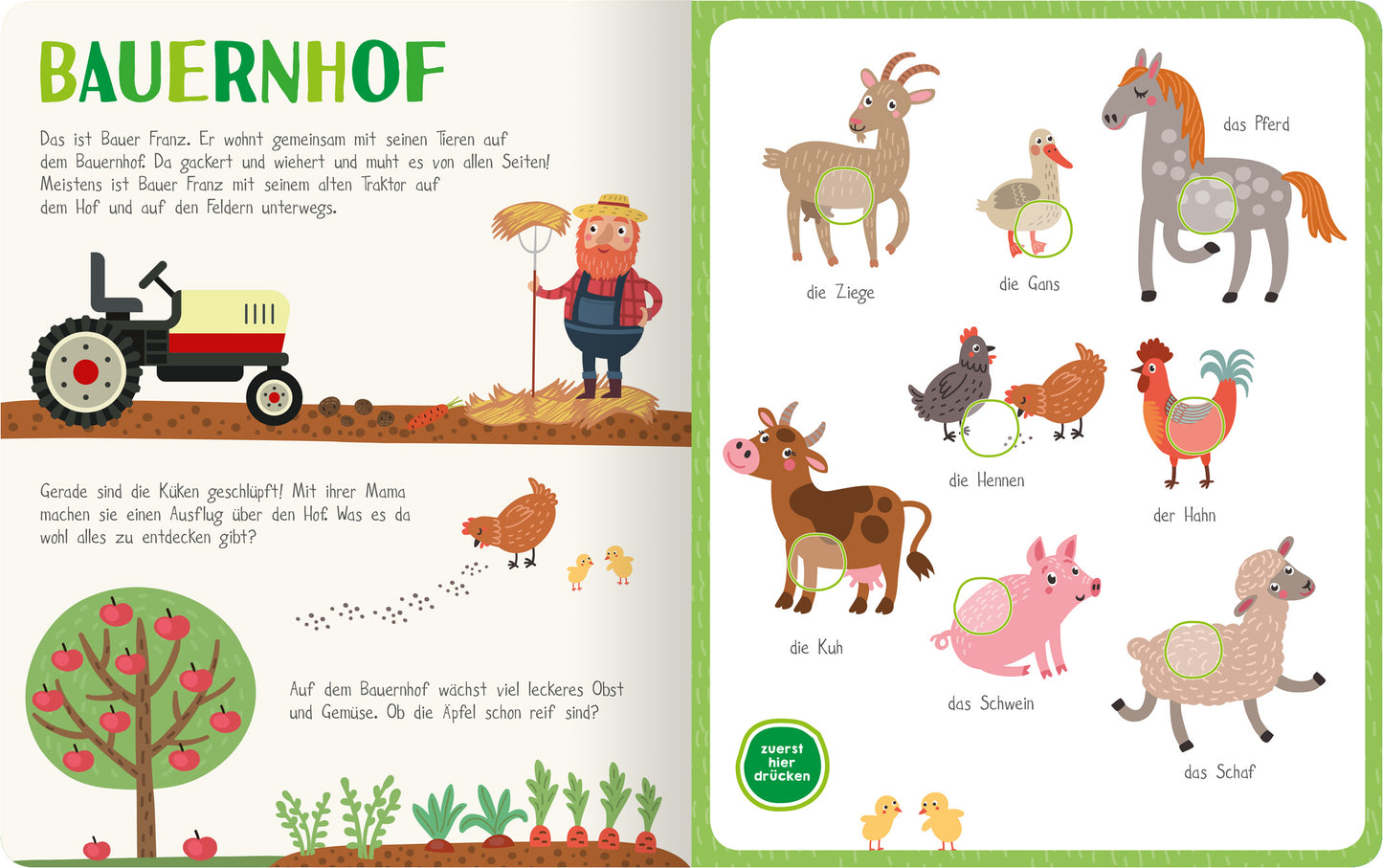 Gezeigt wird eine Innen- oder Zusatzansicht von „Mein kunterbuntes Soundbuch – Tiere“. Die Seite ist in sanften Pastelltönen gestaltet, mit einer lebhaften Illustration eines Bauernhofs. Links erkennt man einen freundlichen Bauern mit einem Traktor, umgeben von verschiedenen Pflanzen. Rechts sind tierische Figuren abgebildet, darunter eine Ziege, eine Gans, eine Kuh und ein Pferd, die deutlich beschriftet sind. Der Titel ist in großen, grünen Buchstaben hervorgehoben, um die Lesbarkeit...