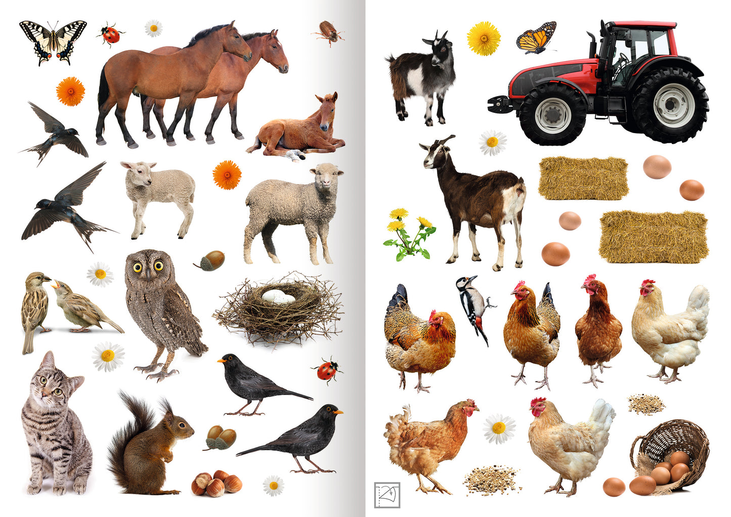 Gezeigt wird eine Innen- oder Zusatzansicht von „Mein Foto-Stickerspaß – Bauernhof“. Die Seite präsentiert eine Vielzahl von bunten Tieren wie Pferde, Vögel, Schafe und Hühner sowie Insekten und Pflanzen. Die Farben sind lebhaft und überwiegend in natürlichen Tönen gehalten.