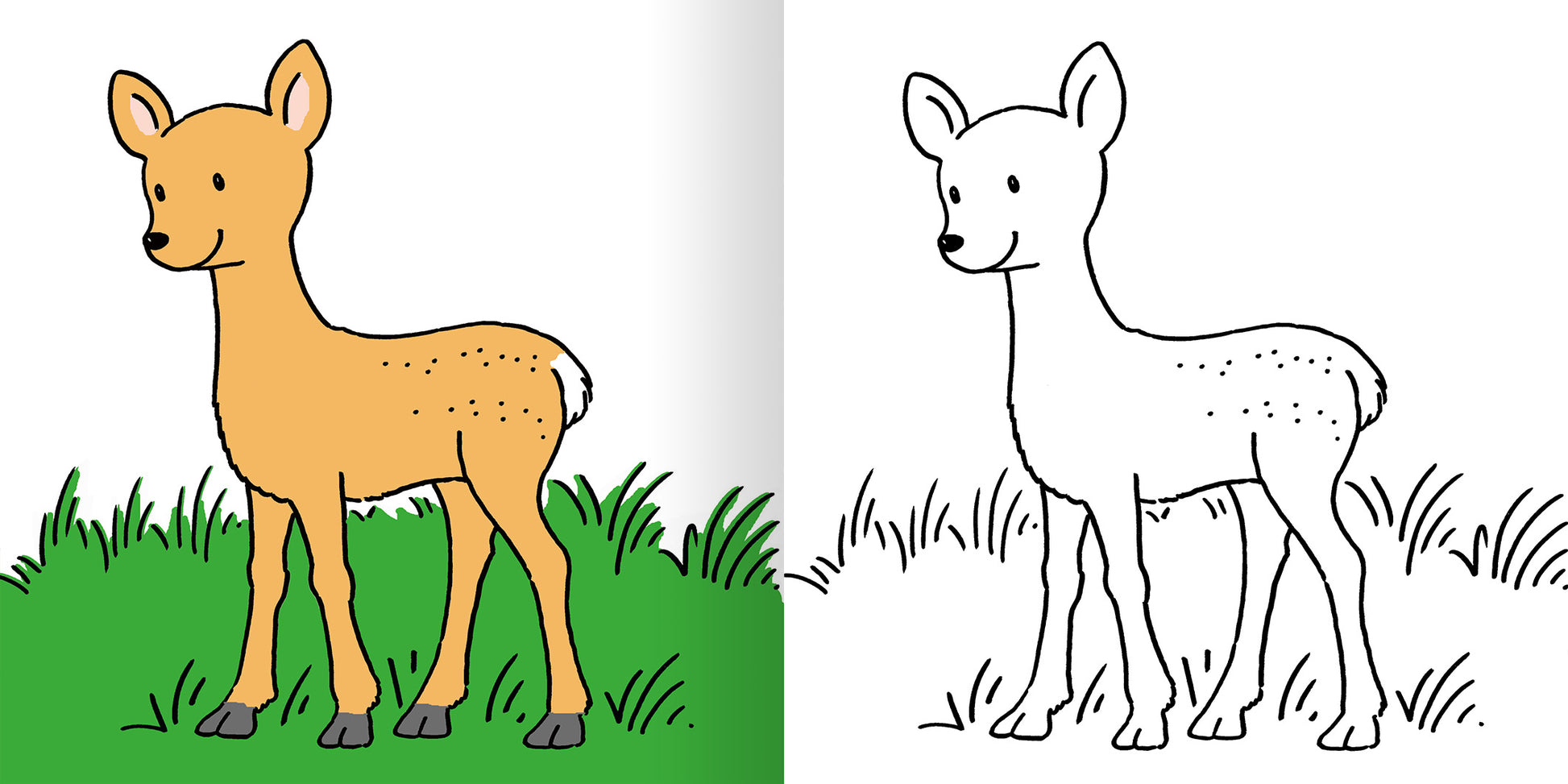 Gezeigt wird eine Innen- oder Zusatzansicht von „Mein erstes dickes Malbuch ab 2 – Lieblingstiere“. Auf der linken Seite ist ein farbiges gemaltes Reh in sanften Orangetönen und einer grünen Wiese abgebildet. Die rechte Seite zeigt eine schwarz-weiße Umrisszeichnung desselben Rehs, die zum Ausmalen einlädt. Die Typografie ist kindgerecht und groß, wobei klare, runde Buchstaben verwendet werden. Die Gesamtgestaltung fördert Kreativität und spielerisches Lernen.