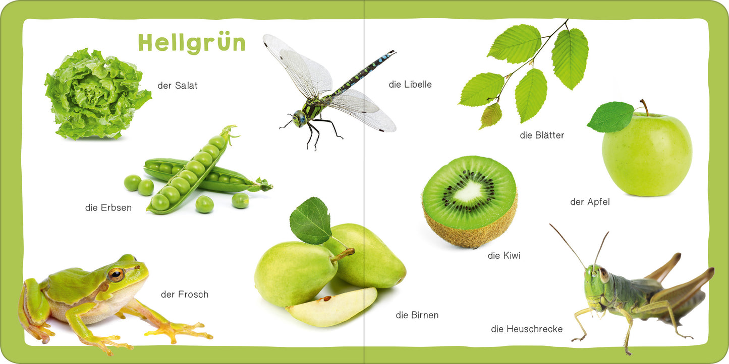 Gezeigt wird eine Innenansicht von „Mein erstes dickes Farbenbuch“. Auf den Seiten sind zahlreiche hellgrüne Objekte abgebildet, darunter ein Salat, Erbsen, ein Frosch und eine Libelle. Jedes Bild ist klar und bunt gestaltet, um die jeweilige Abbildung hervorzuheben. Die einfache Typografie zeigt die Wörter „der Salat“, „die Erbsen“ und weitere Illustrationen in gut lesbarer Schrift. Der Hintergrund ist in einem sanften Grünton gehalten, der die Darstellung unterstützt und die...