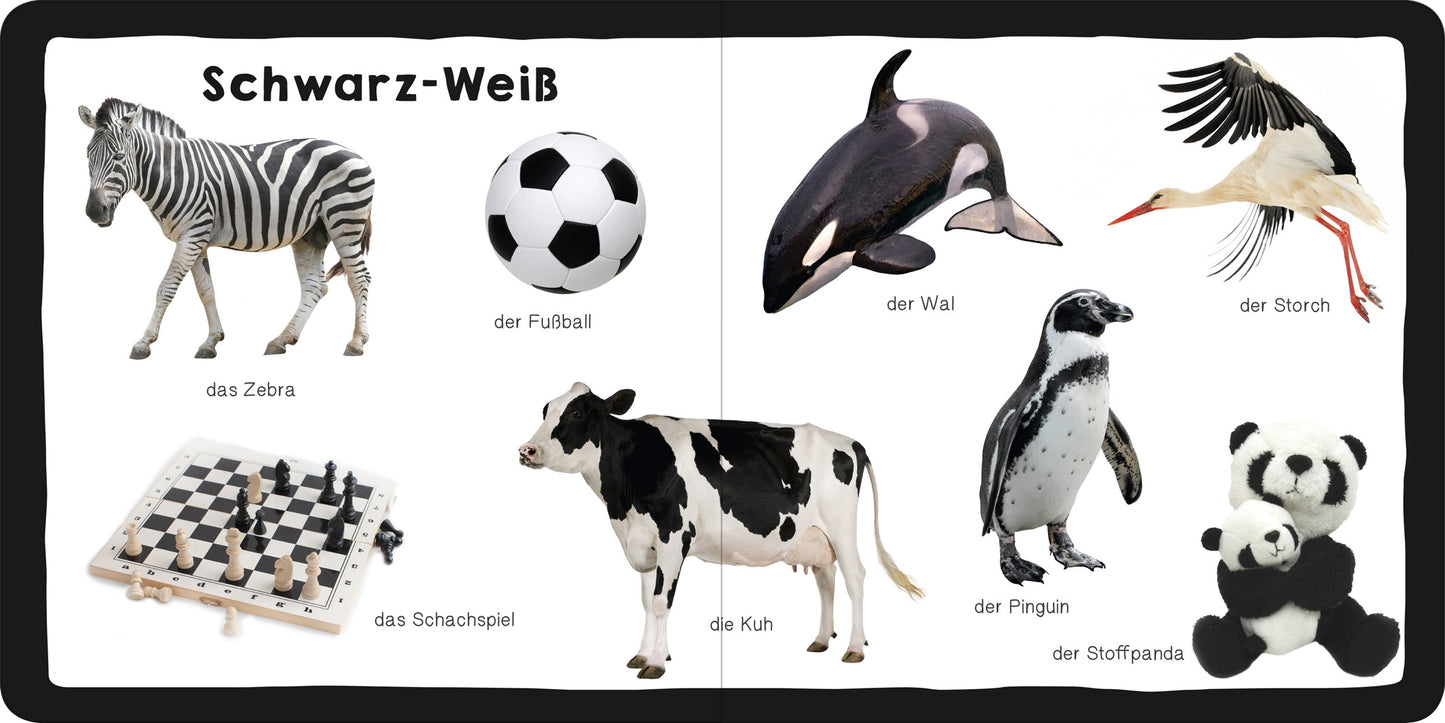 Gezeigt wird eine Innen- oder Zusatzansicht von „Mein erstes dickes Farbenbuch“. Die Seite präsentiert eine schwarz-weiße Farbthematik mit einem Zebra, einem Fußball, einem Wal, einem Storch, einer Kuh, einem Pinguin und einem Stoffpanda. Alle Motive sind kinderfreundlich illustriert und auf einem klaren, weißen Hintergrund platziert. Der Titel „Schwarz-Weiß“ ist aufmerksamkeitsstark im oberen Bereich abgebildet, wobei die Typografie in einer großen, klaren Schrift gehalten ist,...