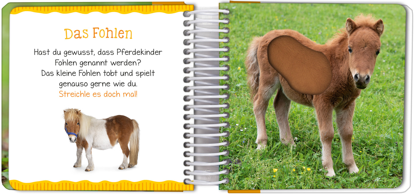 Gezeigt wird eine Innen- oder Zusatzansicht von „Mein großes Streichelbuch – Bauernhoftiere“. Auf der linken Seite befindet sich ein Bild eines kleinen Fohlens, das in sanften Brauntönen gehalten ist. Daneben steht in verspielter Schrift „Das Fohlen“ in orange. Auf der rechten Seite ist ein weiteres Bild des Fohlens, dessen Bauchbereich als haptische Fläche gestaltet ist, um das Streicheln zu ermöglichen. Der Hintergrund ist durch eine grüne Wiese geprägt, die eine freundliche...
