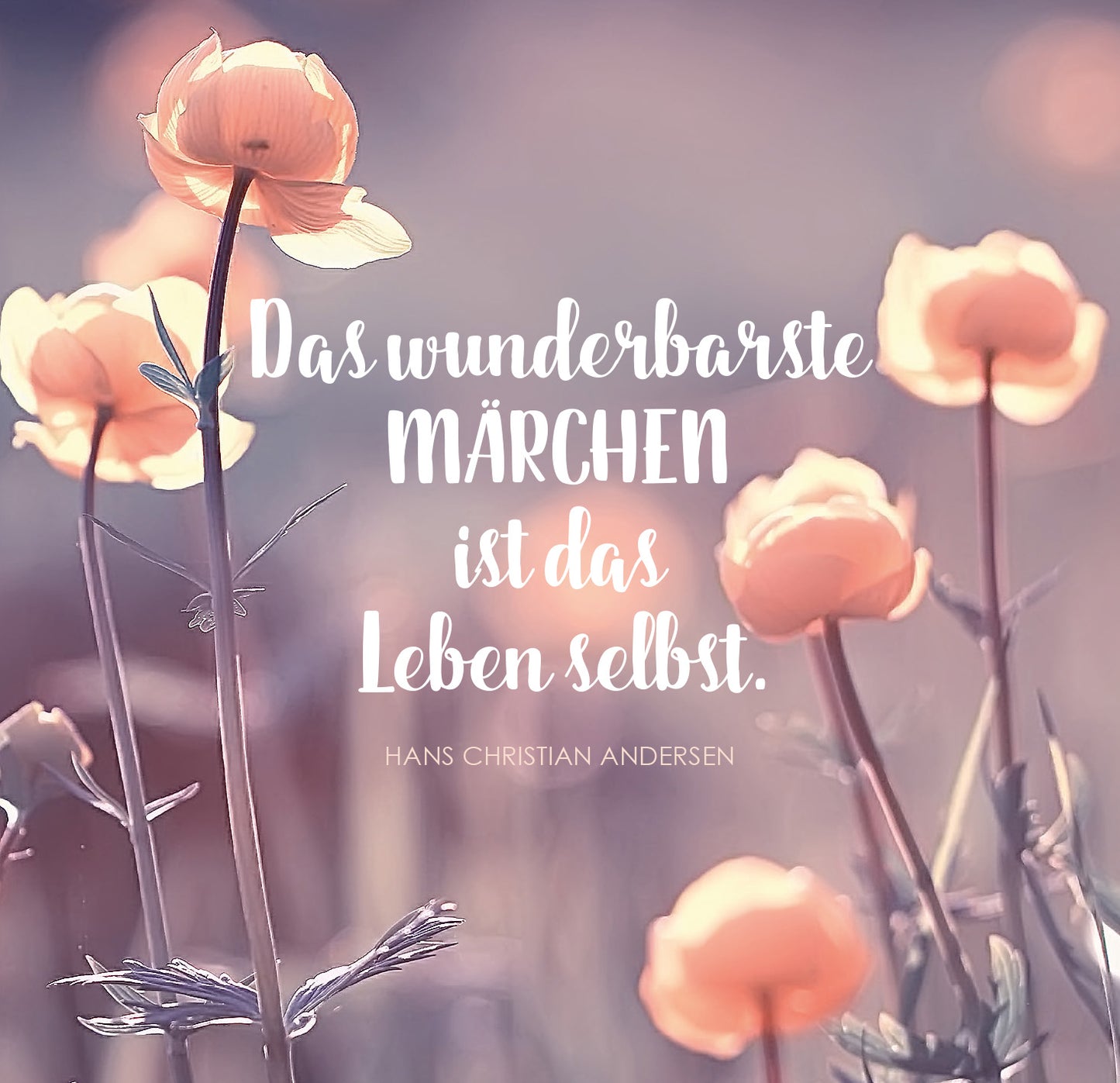 Gezeigt wird eine Innen- oder Zusatzansicht von „Das große Glück mag kleine Dinge“. Im Bild sind sanft gezeichnete, blühende Pflanzen in zarten Farbnuancen von Rosa und Aprikose zu sehen. Der Hintergrund ist harmonisch und leicht verschwommen, was eine traumhafte Atmosphäre schafft. Der Text in verspielter, geschwungener Schrift hebt sich klar vom Hintergrund ab: „Das wunderbarste Märchen ist das Leben selbst.“ und darunter der Autorenname in serifenloser Schrift.