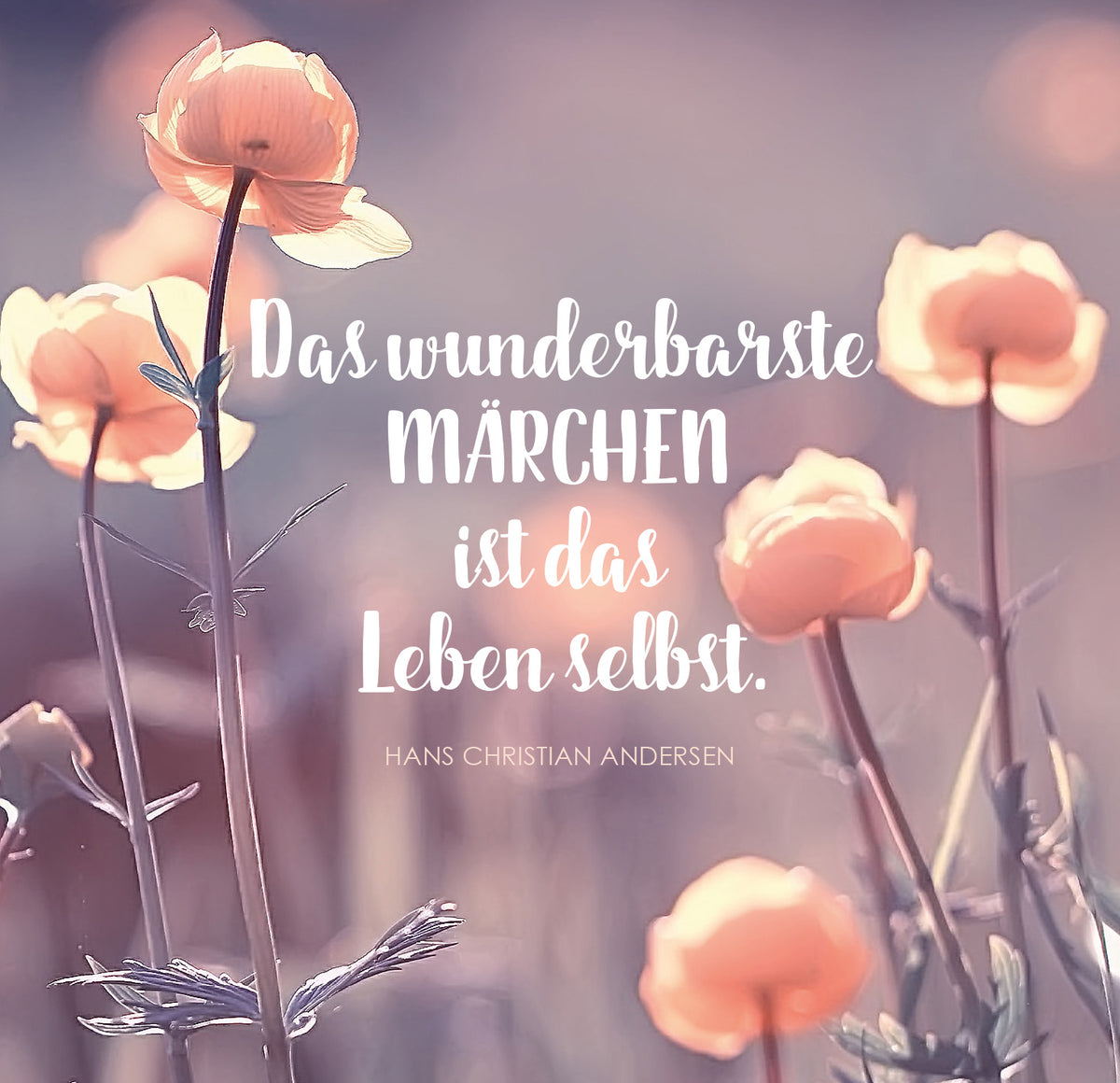 Gezeigt wird eine Innen- oder Zusatzansicht von „Das große Glück mag kleine Dinge“. Im Bild sind sanft gezeichnete, blühende Pflanzen in zarten Farbnuancen von Rosa und Aprikose zu sehen. Der Hintergrund ist harmonisch und leicht verschwommen, was eine traumhafte Atmosphäre schafft. Der Text in verspielter, geschwungener Schrift hebt sich klar vom Hintergrund ab: „Das wunderbarste Märchen ist das Leben selbst.“ und darunter der Autorenname in serifenloser Schrift.