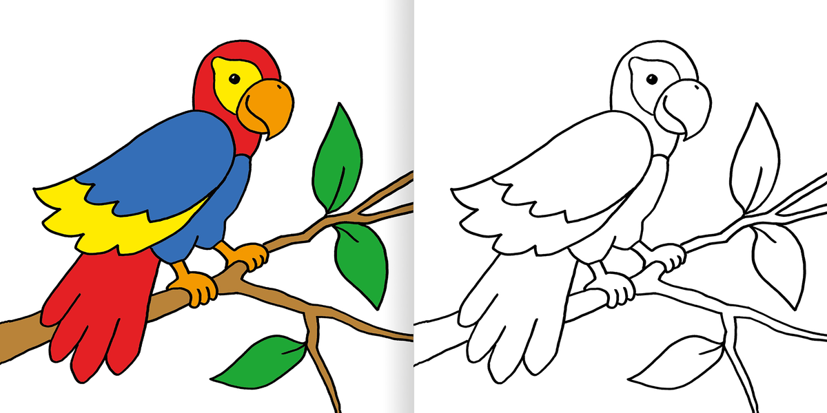 Gezeigt wird eine Innen- oder Zusatzansicht von „Mein erstes dickes Malbuch ab 2 – Tiere“. Auf der linken Seite ist ein buntes Papageienmotiv zu sehen, das in lebhaften Farben wie Rot, Blau und Gelb gehalten ist. Der Papagei sitzt auf einem astähnlichen Zweig, umgeben von grünen Blättern. Die rechte Seite zeigt die gleiche Zeichnung in Schwarz-Weiß, die als Ausmalvorlage dient. Die Typografie ist kinderfreundlich und klar gestaltet.