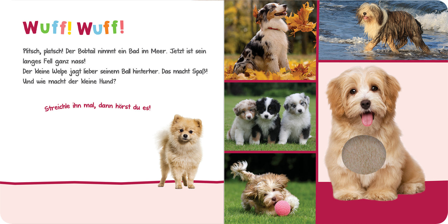 Gezeigt wird eine Innen- oder Zusatzansicht von „Hör mal rein, wer kann das sein? – Kuschelige Tiere“. Die Ansicht zeigt fröhliche, farbenfrohe Illustrationen von verschiedenen Hunden. Die dominierenden Farben sind lebhaftes Blau, Gelb und Rosa. Die Überschrift „Wuff! Wuff!“ ist in spielerischer, bunter Typografie gestaltet. Neben den Bildern steht ein freundlicher Text, der zum Interagieren anregt und die Neugier auf die akustischen Elemente weckt. Ein kreisrunder Eindruck...